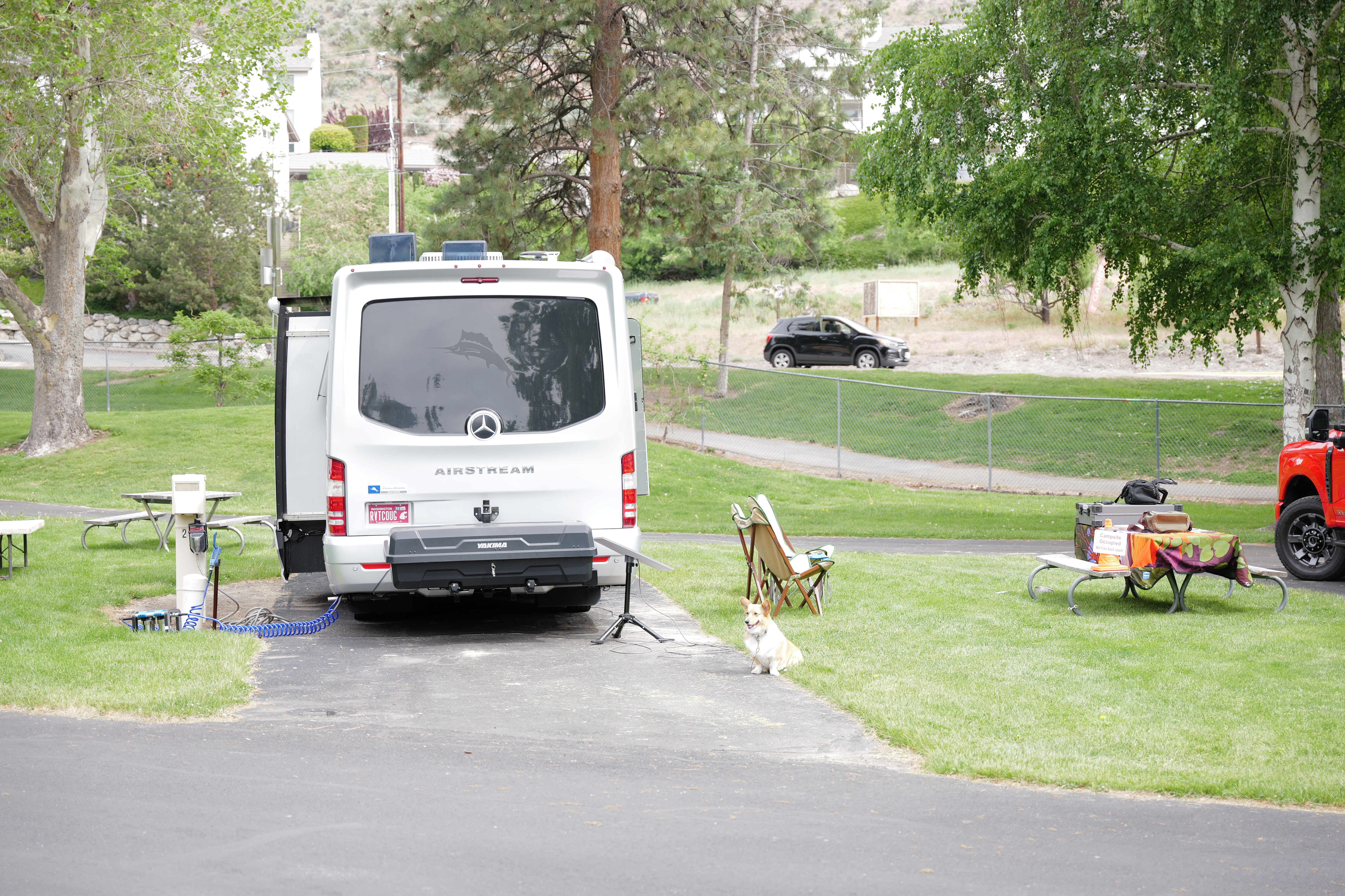 Aurora looking around at our campsite in the morning - lots going on!