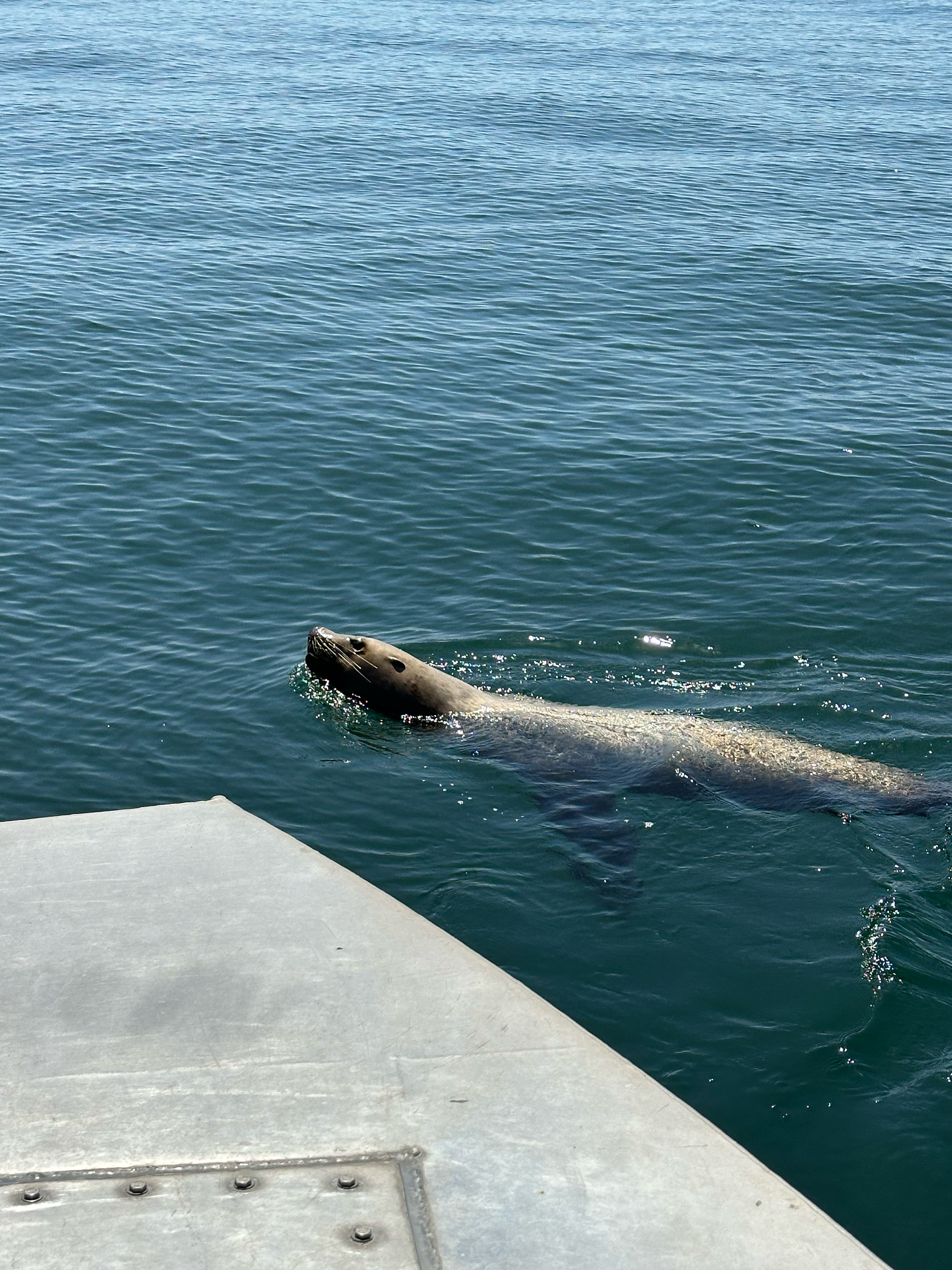 Not sure who is checking who out …. 