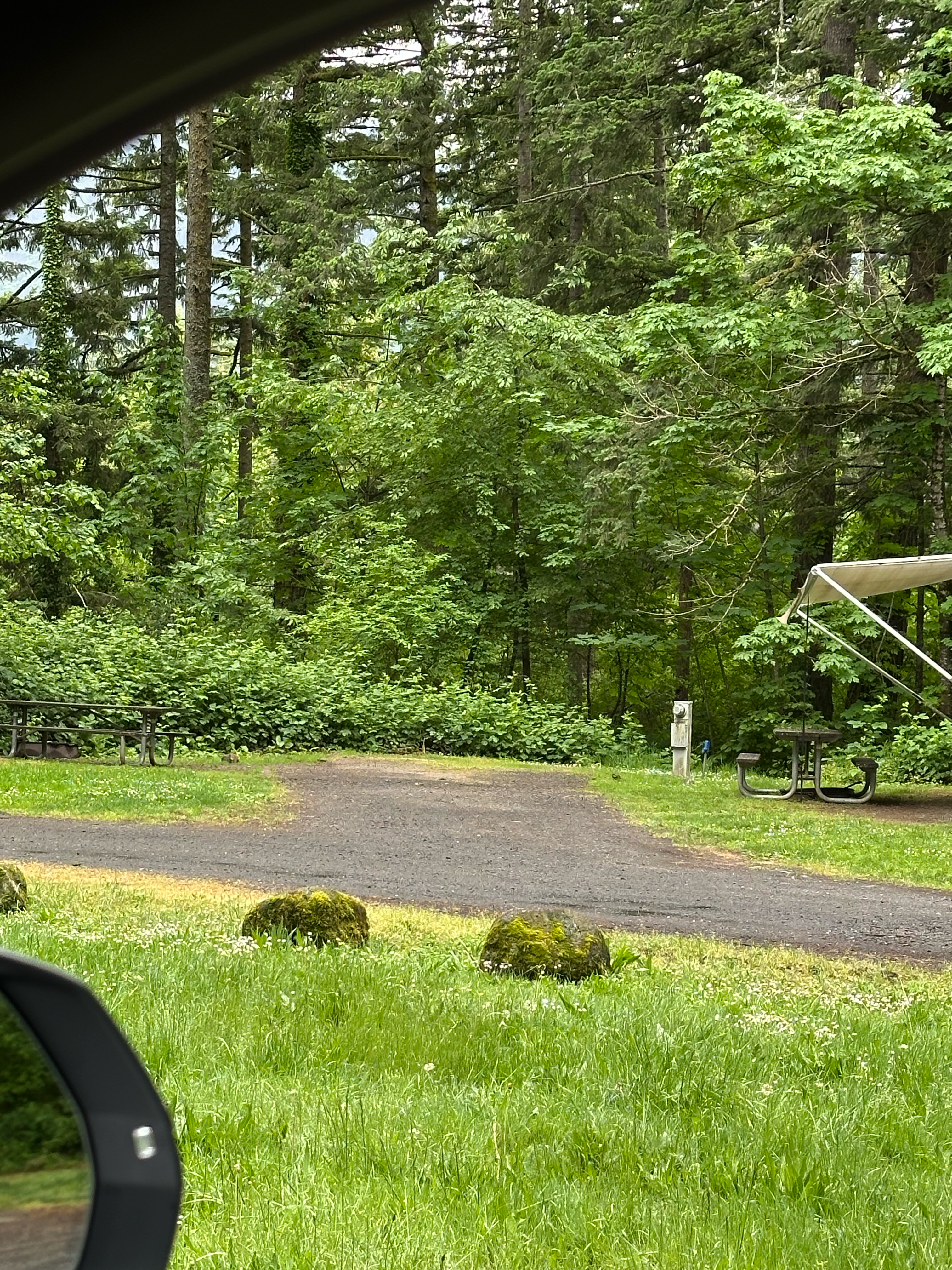 Beautiful and lush camping spots at Beacon Rock State Park 