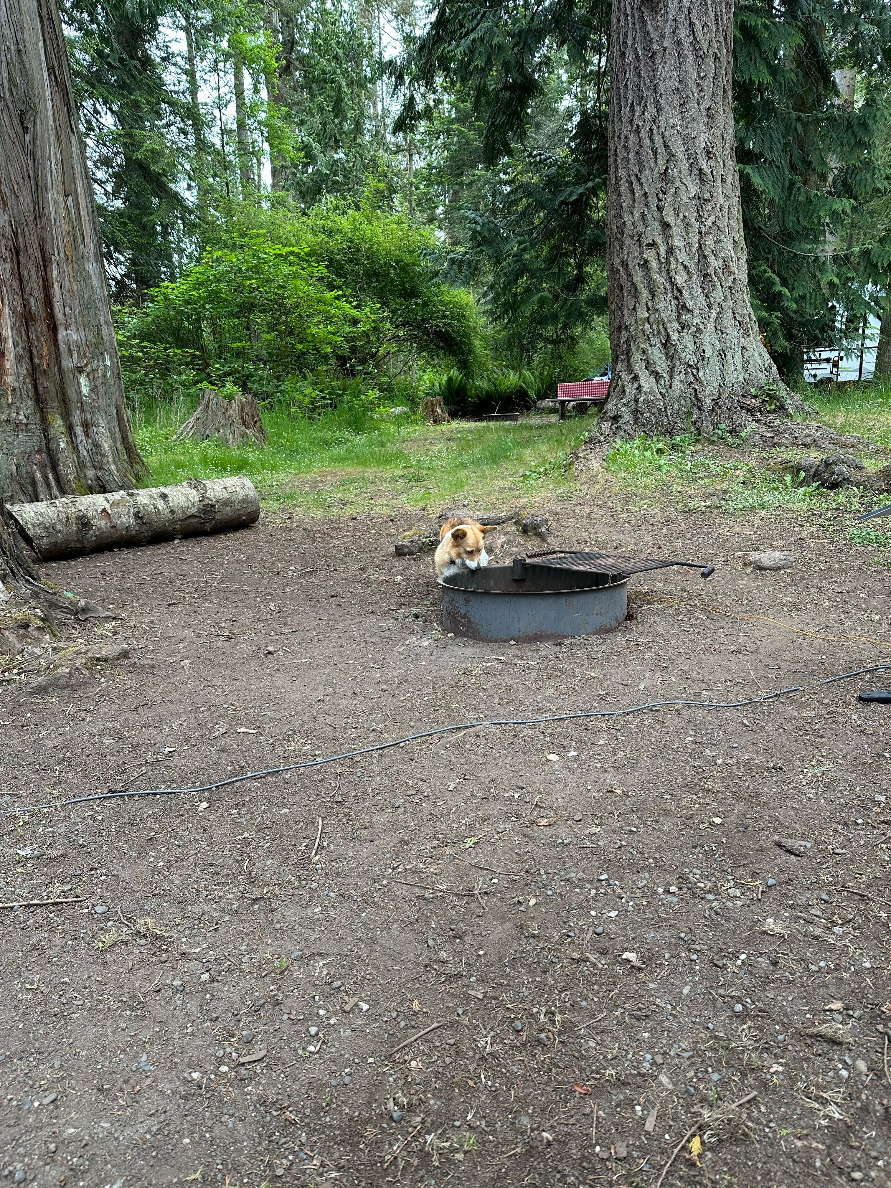 Let’s check out the Fire Pit! 