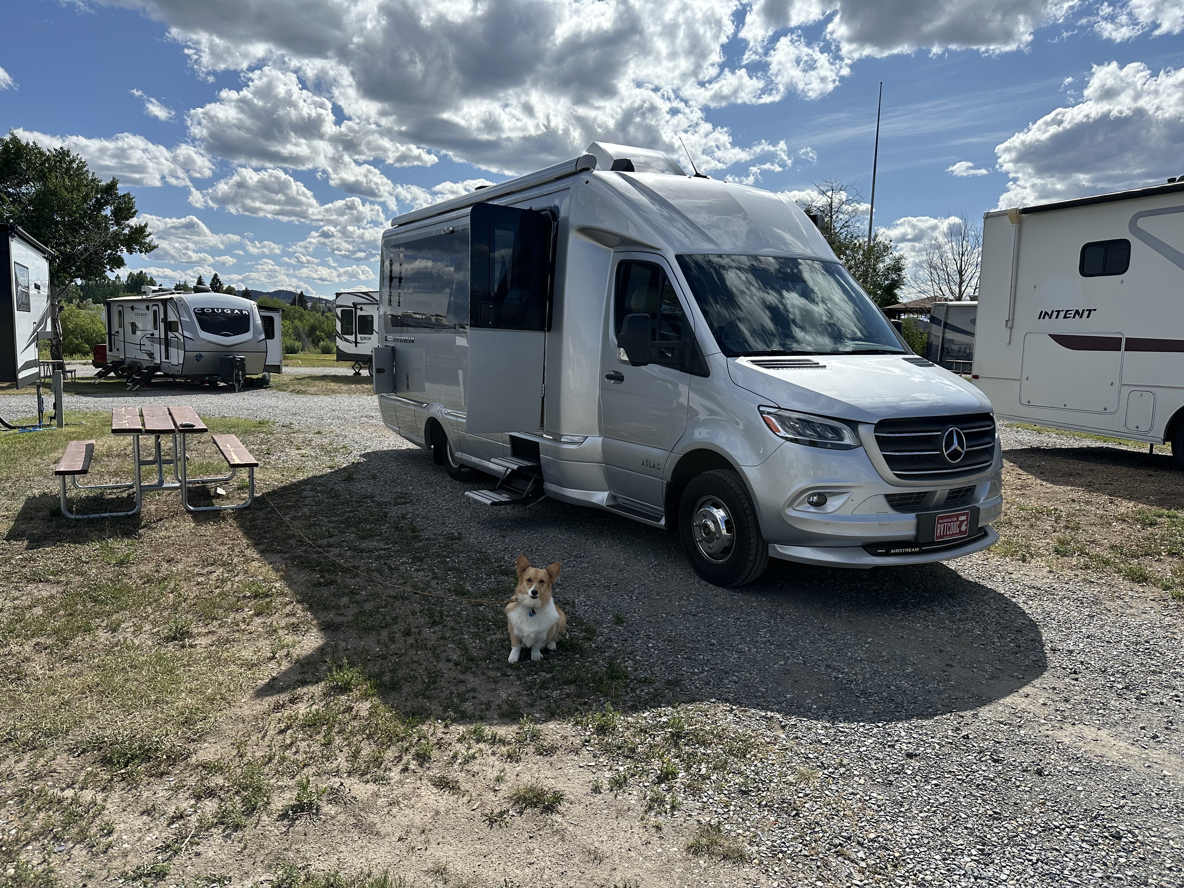 Aurora enjoying the campsite at the Butte KOA 