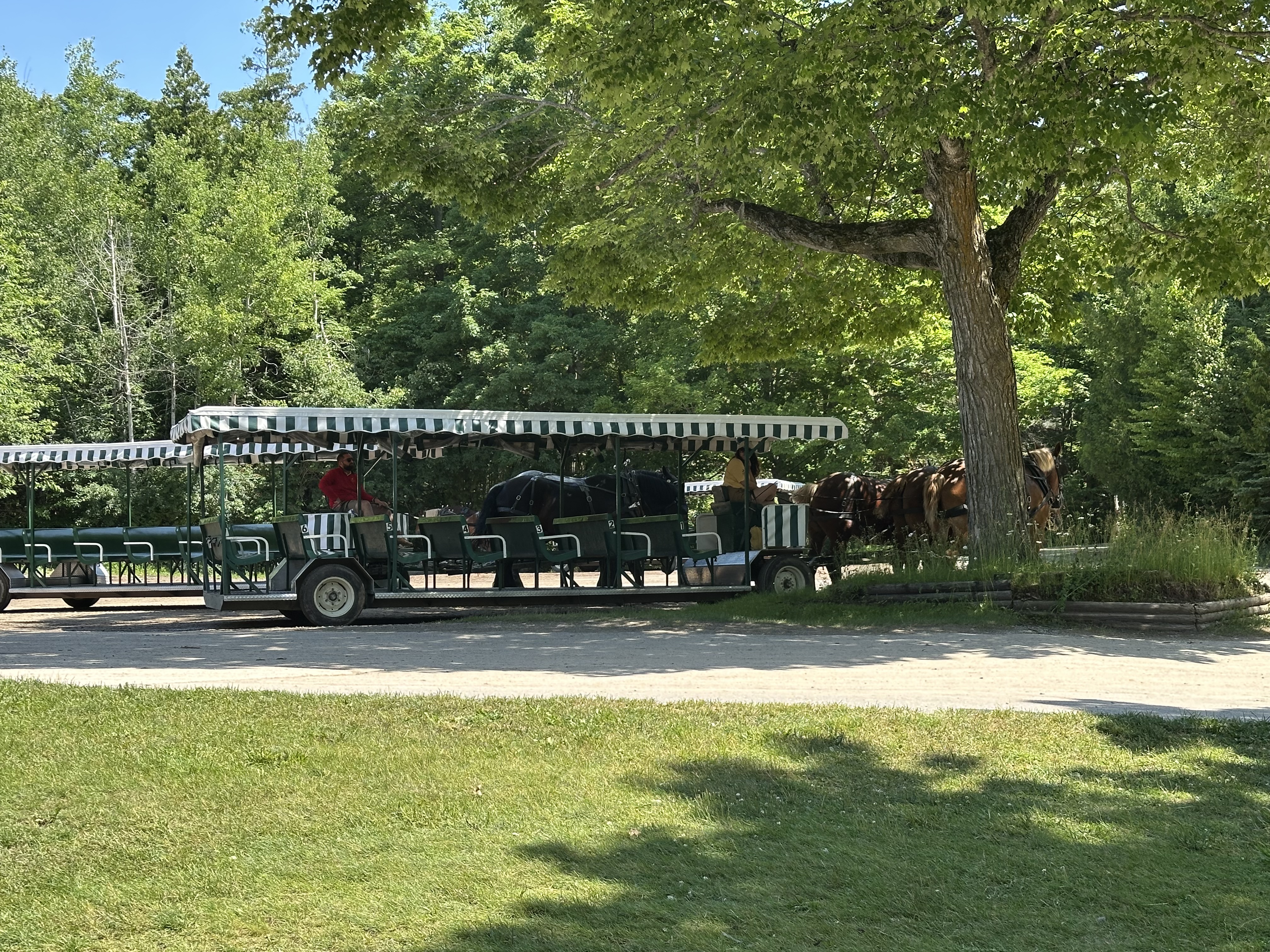 One of the horse drawn carriages that could accommodate 25+ people at one time 