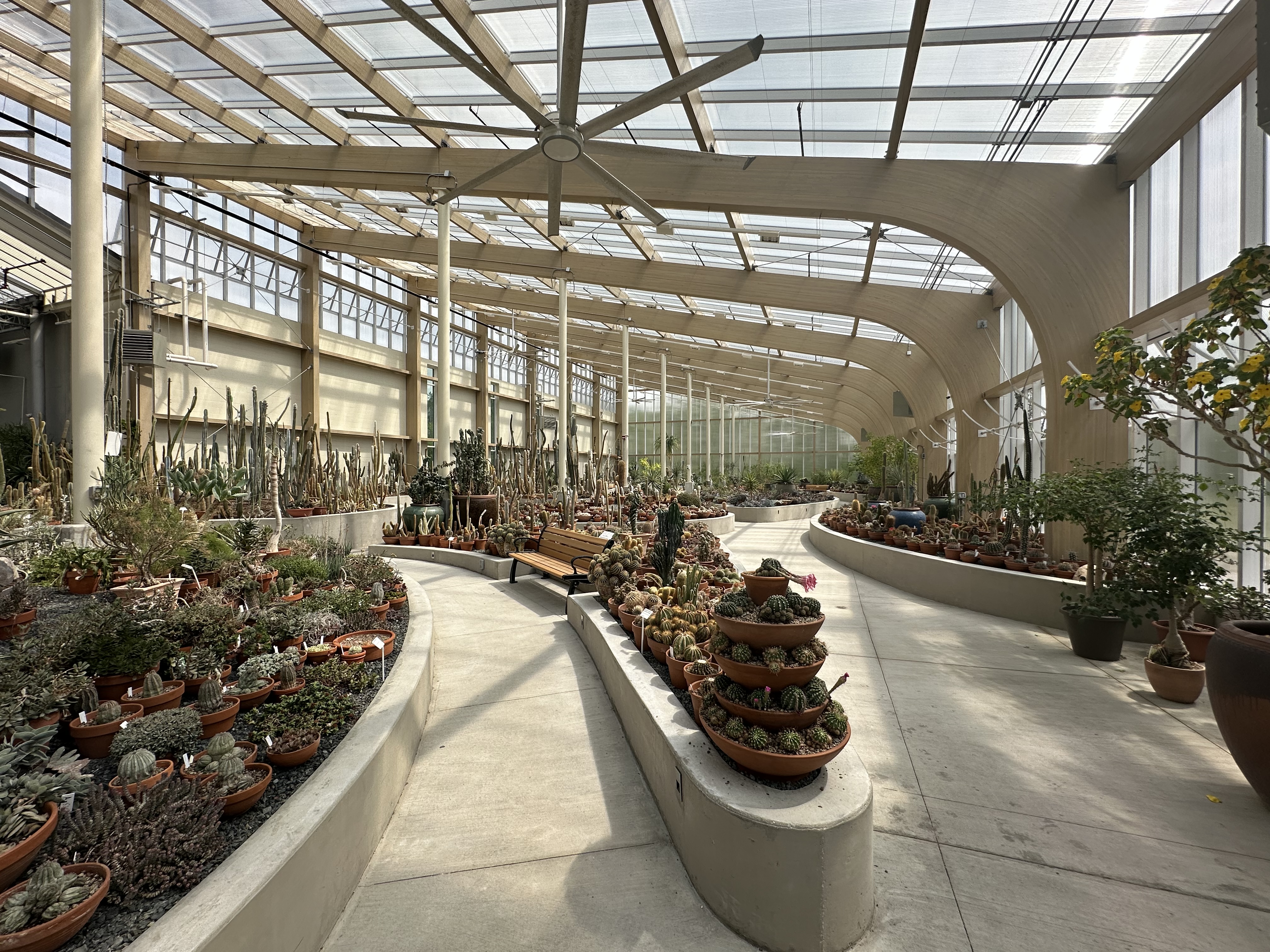 The succulent collection was amazing!