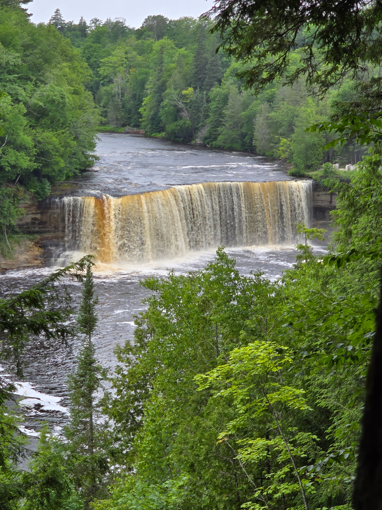 The Lower Falls 