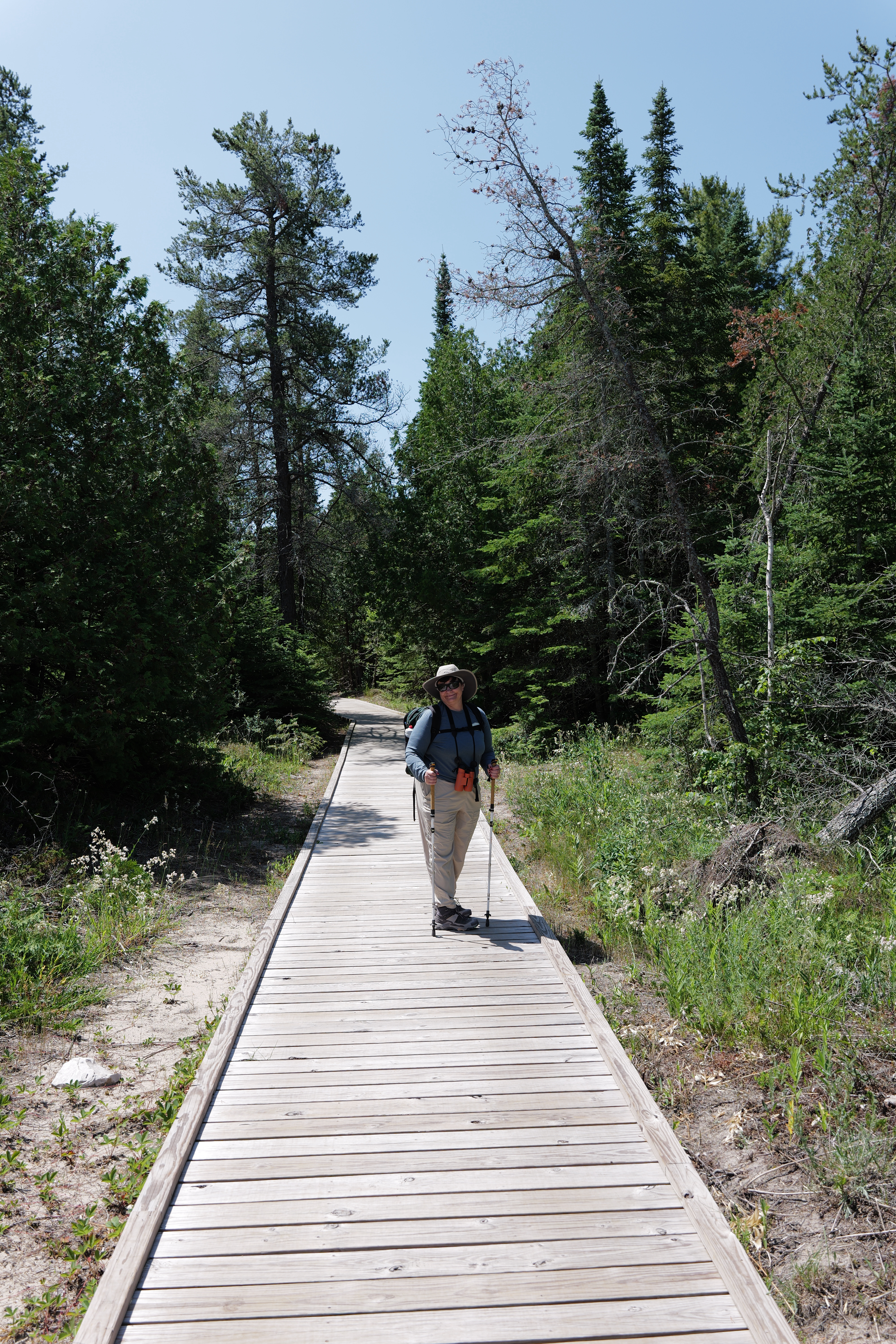 The board walks over sandy areas were relatively new and well maintained.  