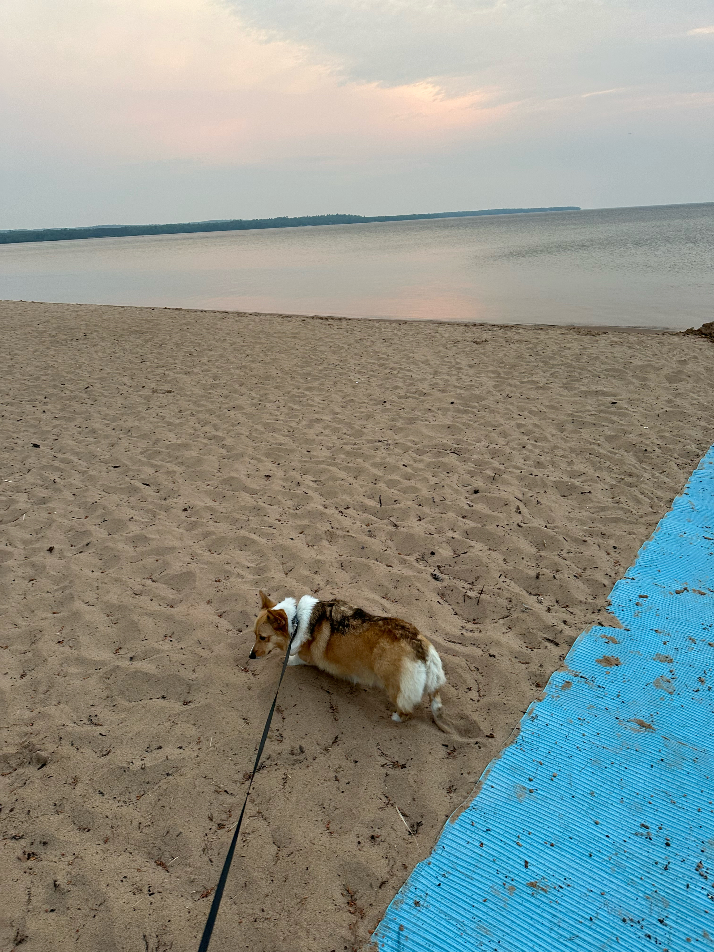 Aurora enjoyed the sand and running along the beach.  She is still afraid of the waves - so we stay well back from the water.  