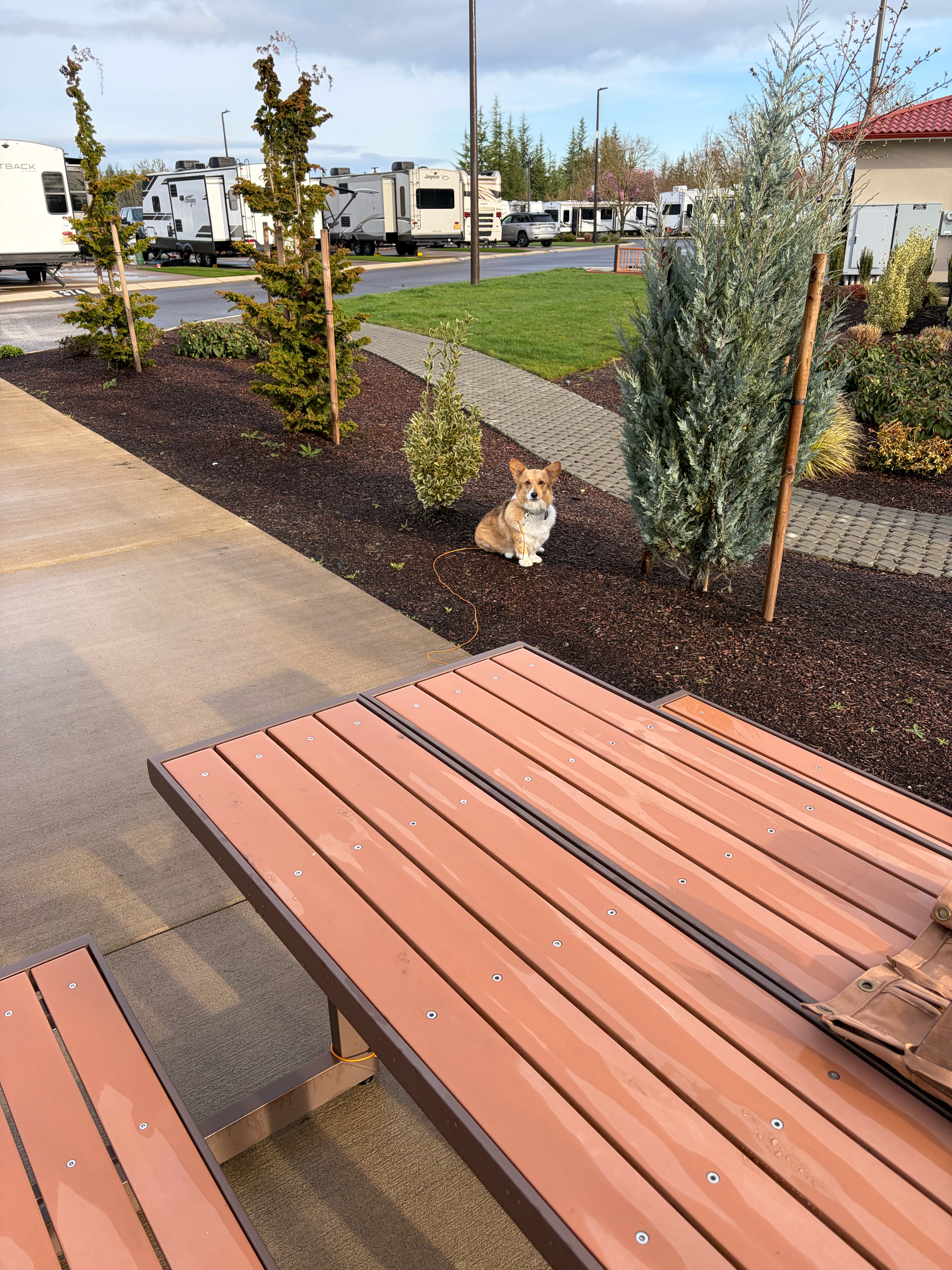 It is always good to have Aurora on the look out guarding the campsite!