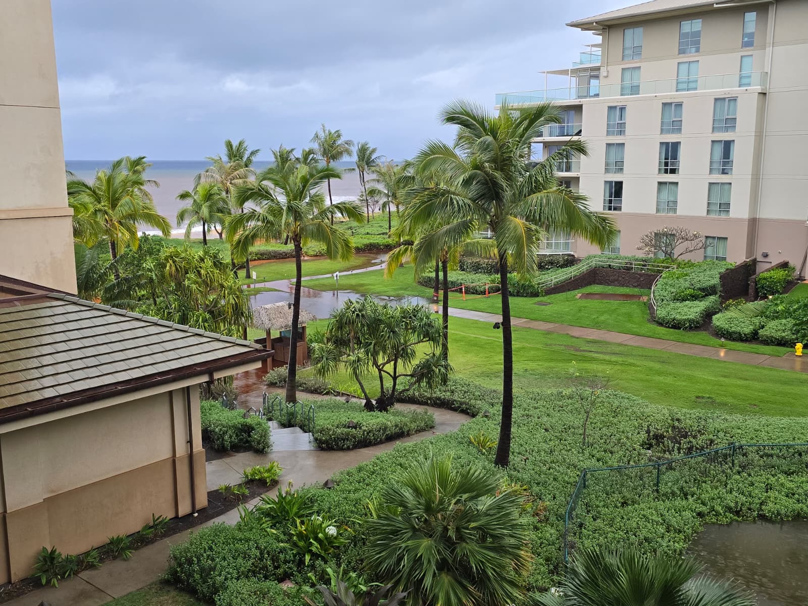 The view out of our window in the morning! 