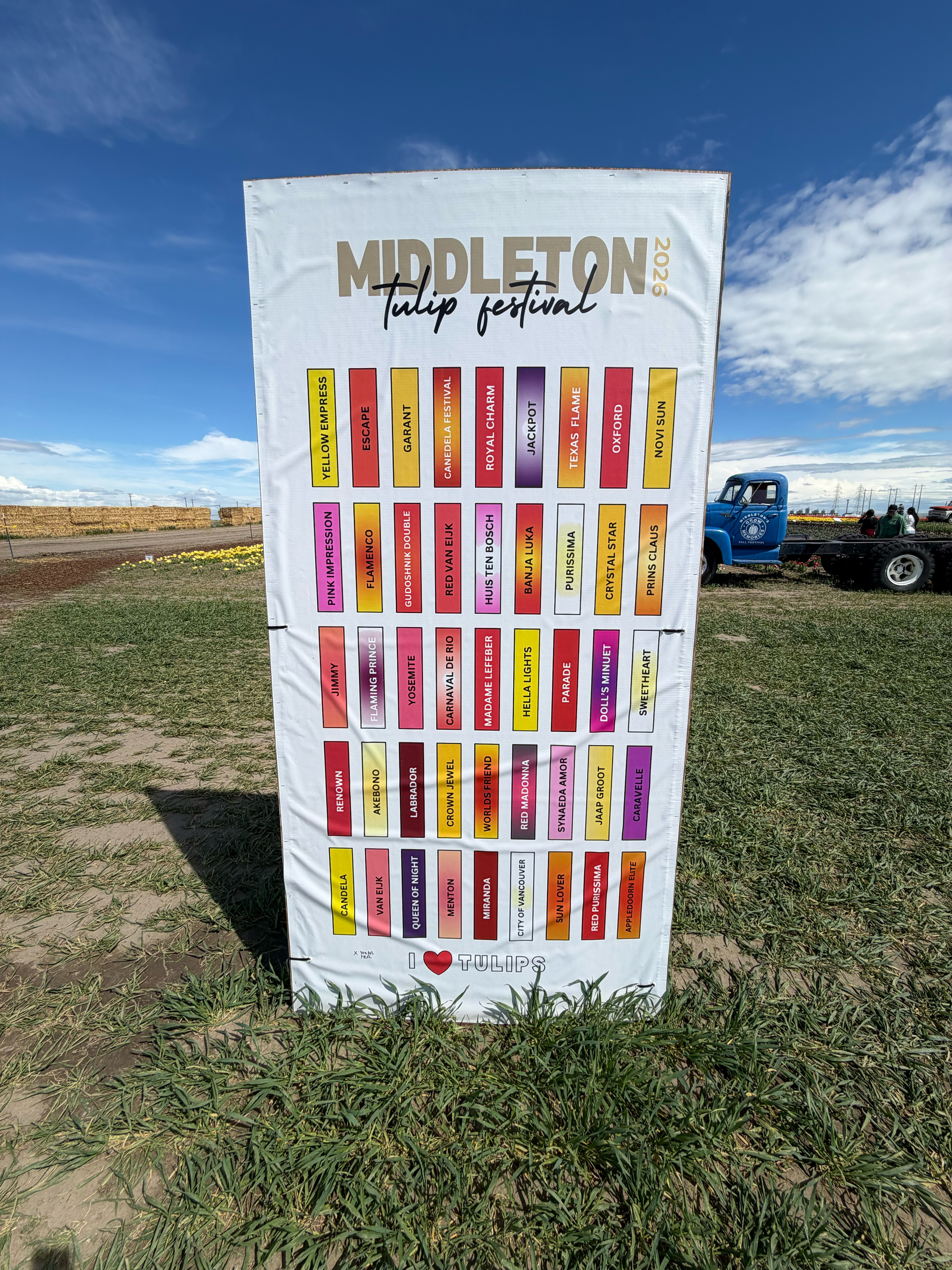 The sign at the entrance let you know what types of tulips which were in the plots.