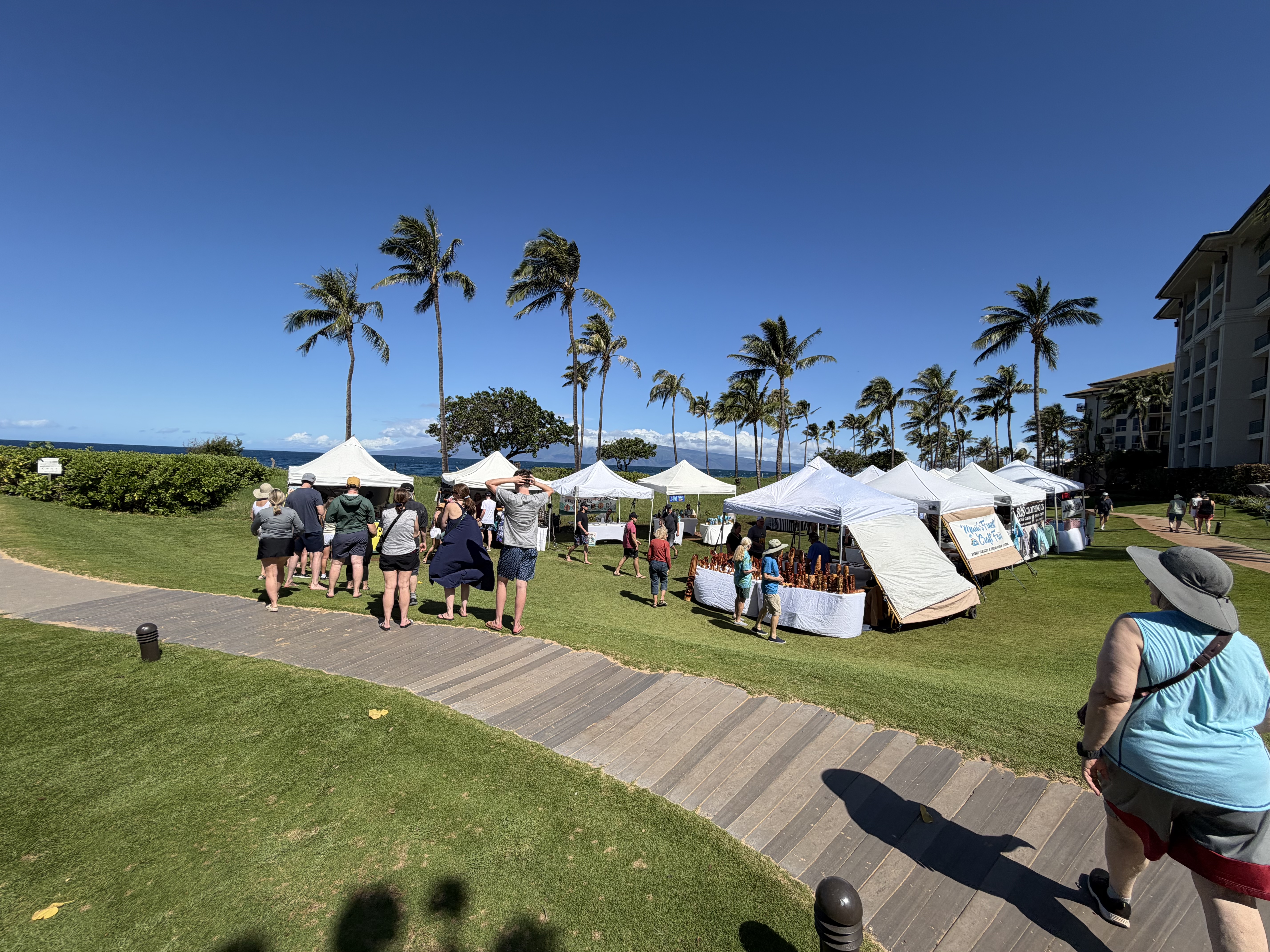 The craft fair has lots of local artisans showcasing their wares.