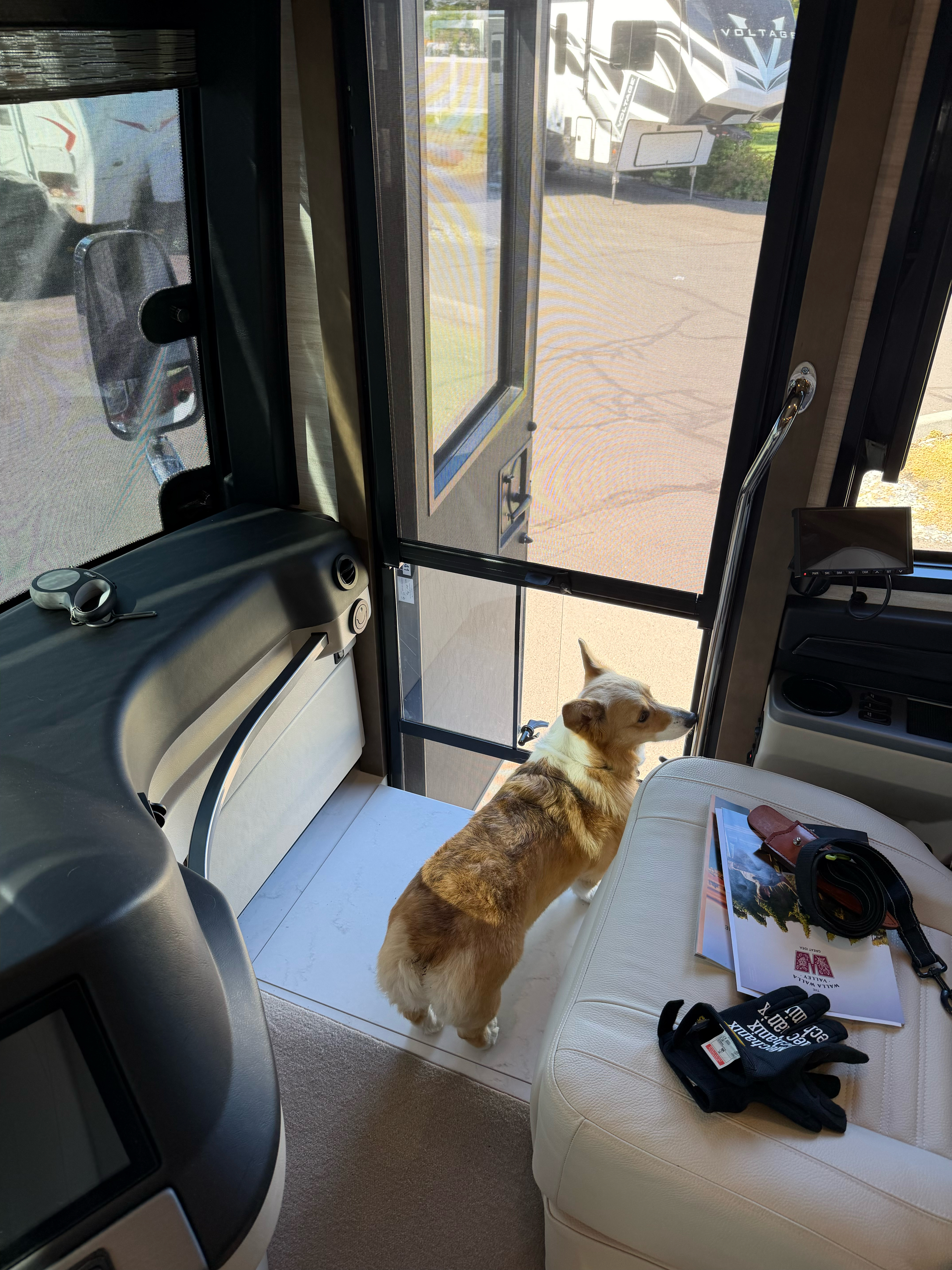 We like when the step cover is put up so we can see outside!