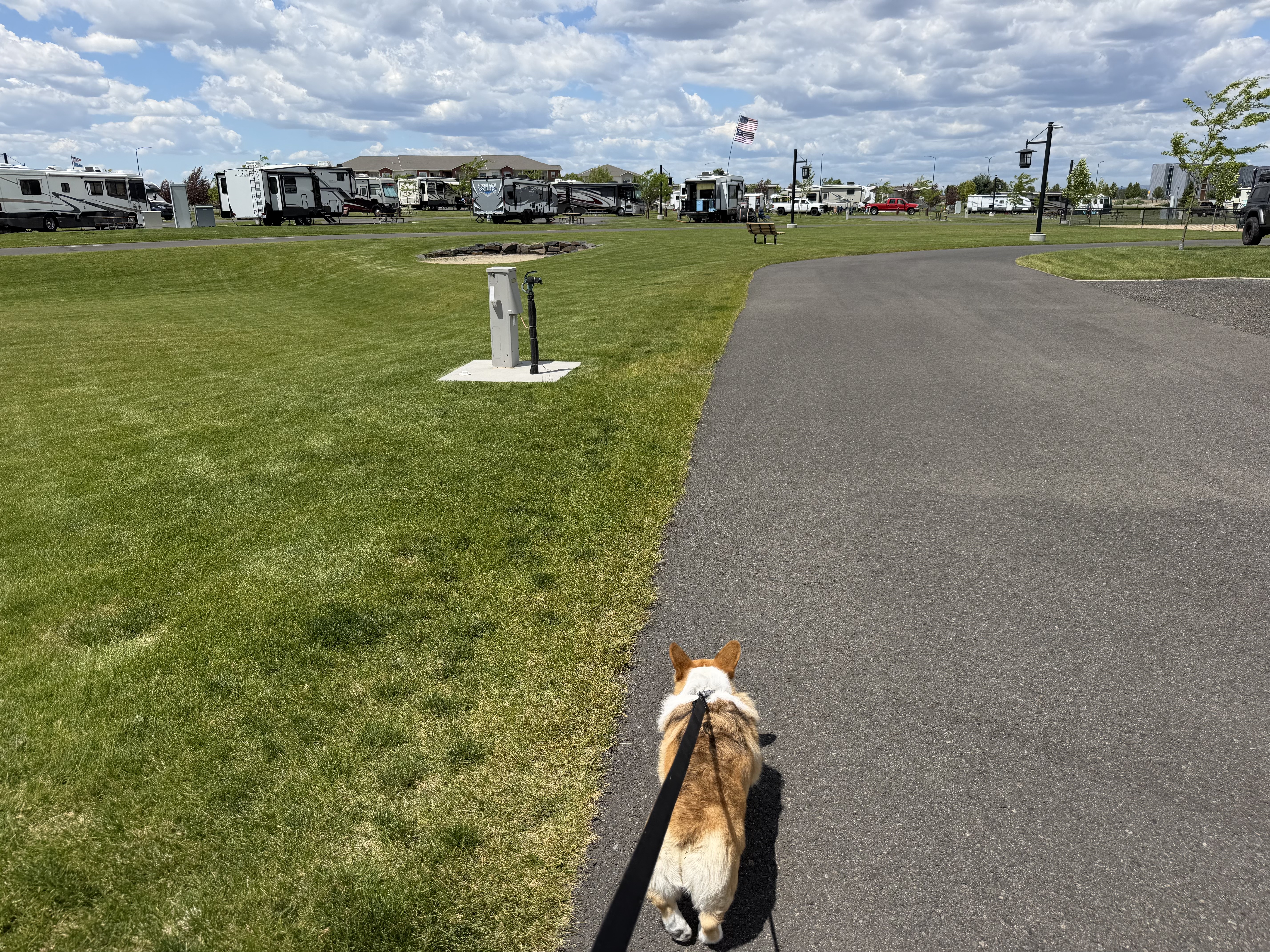 We don’t always know where we are going - but Aurora goes confidently forward!