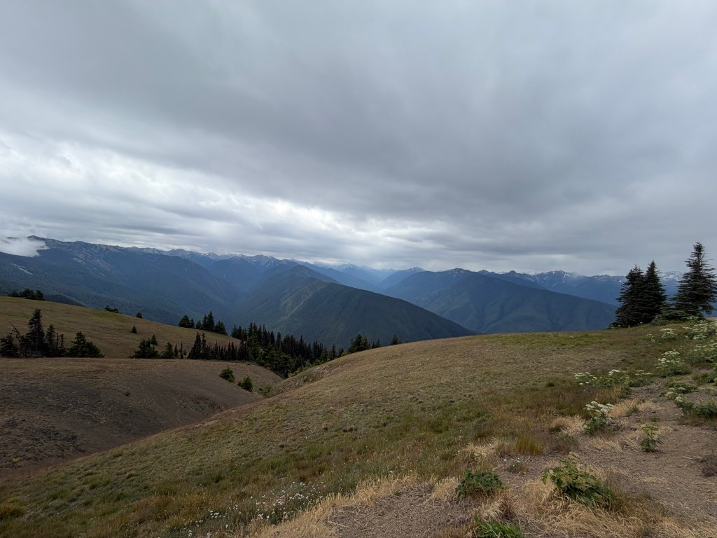 Two “Must Do” Short Hikes in Olympic National Park – Marymere Falls and the Big Meadow&nbsp;Loop
