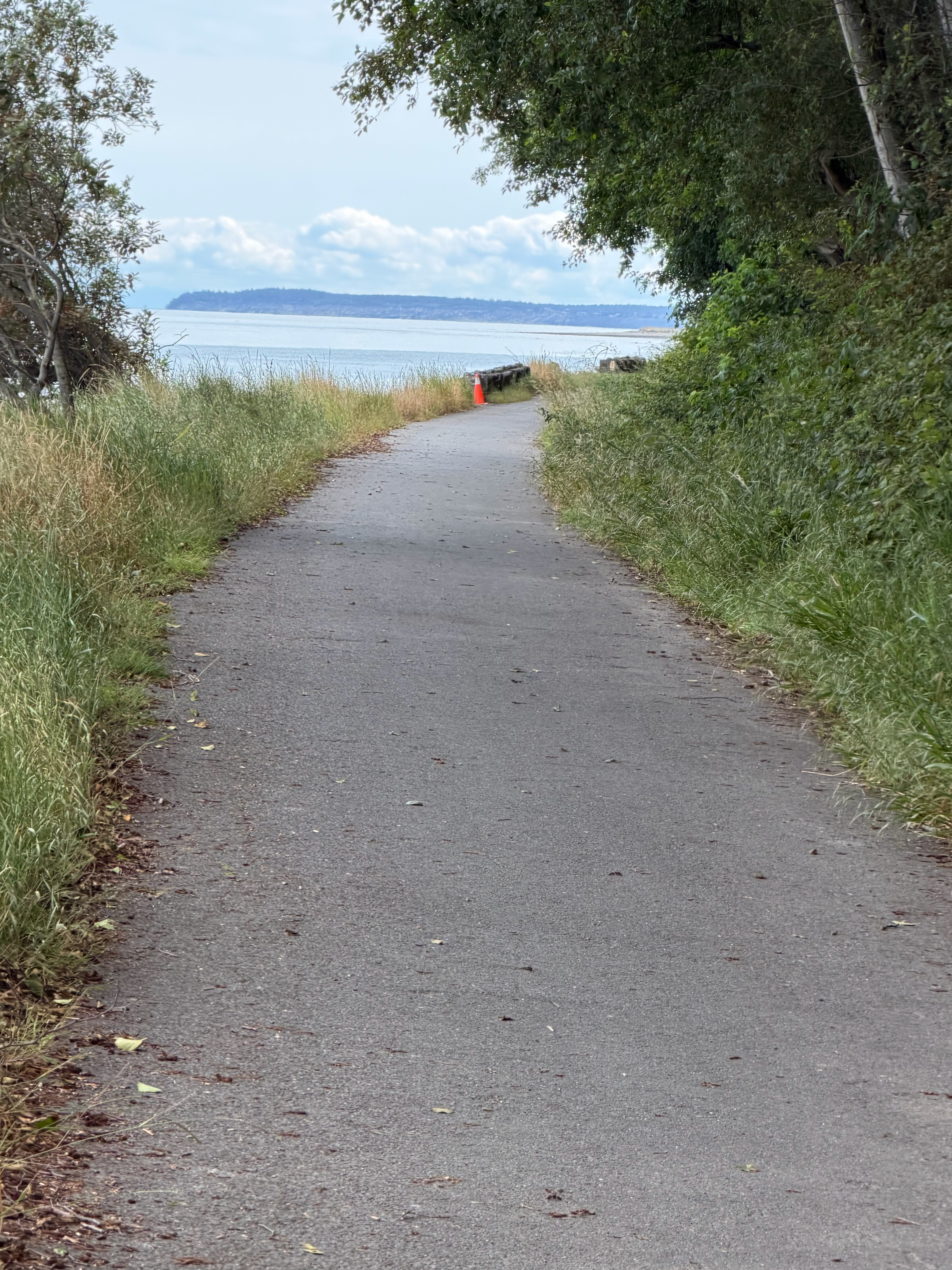 The section of the ODT from RV@Olympic to Port Angeles was all paved asphalt