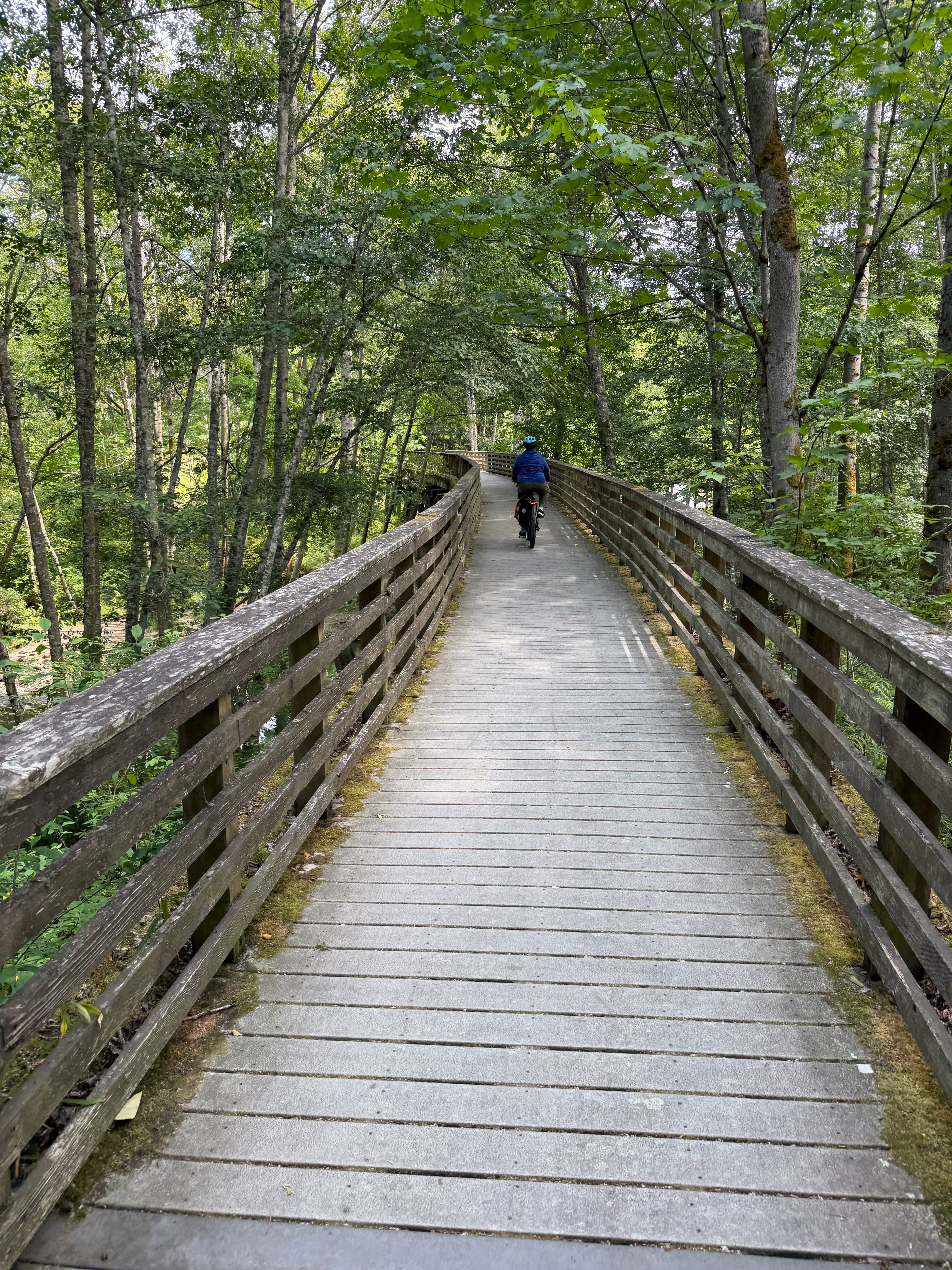 We rode through some lush vegetation on a short boardwalk ODT section