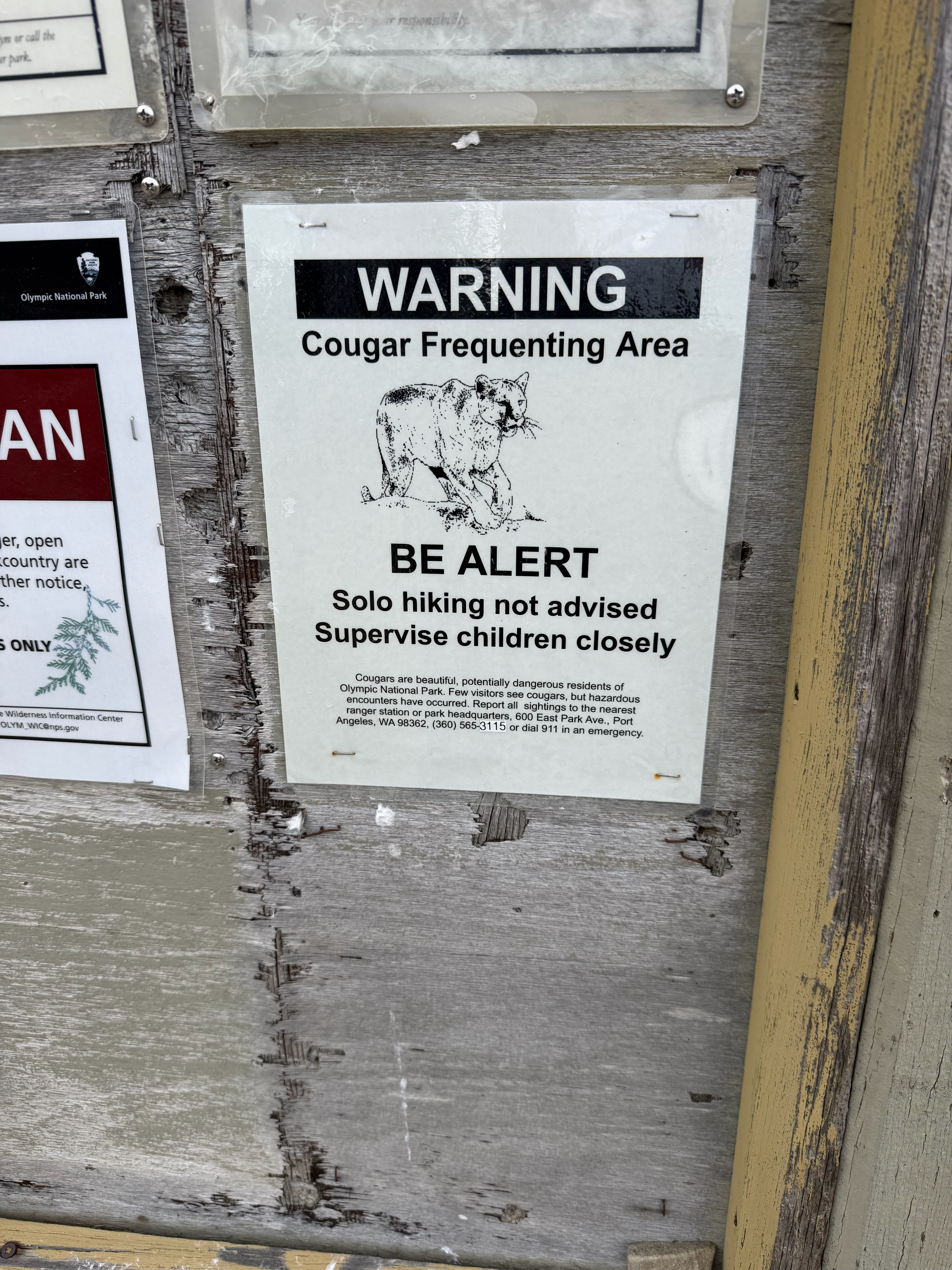 While I love seeing Wildlife - we decided that solo hikes here might not be such a great idea! 