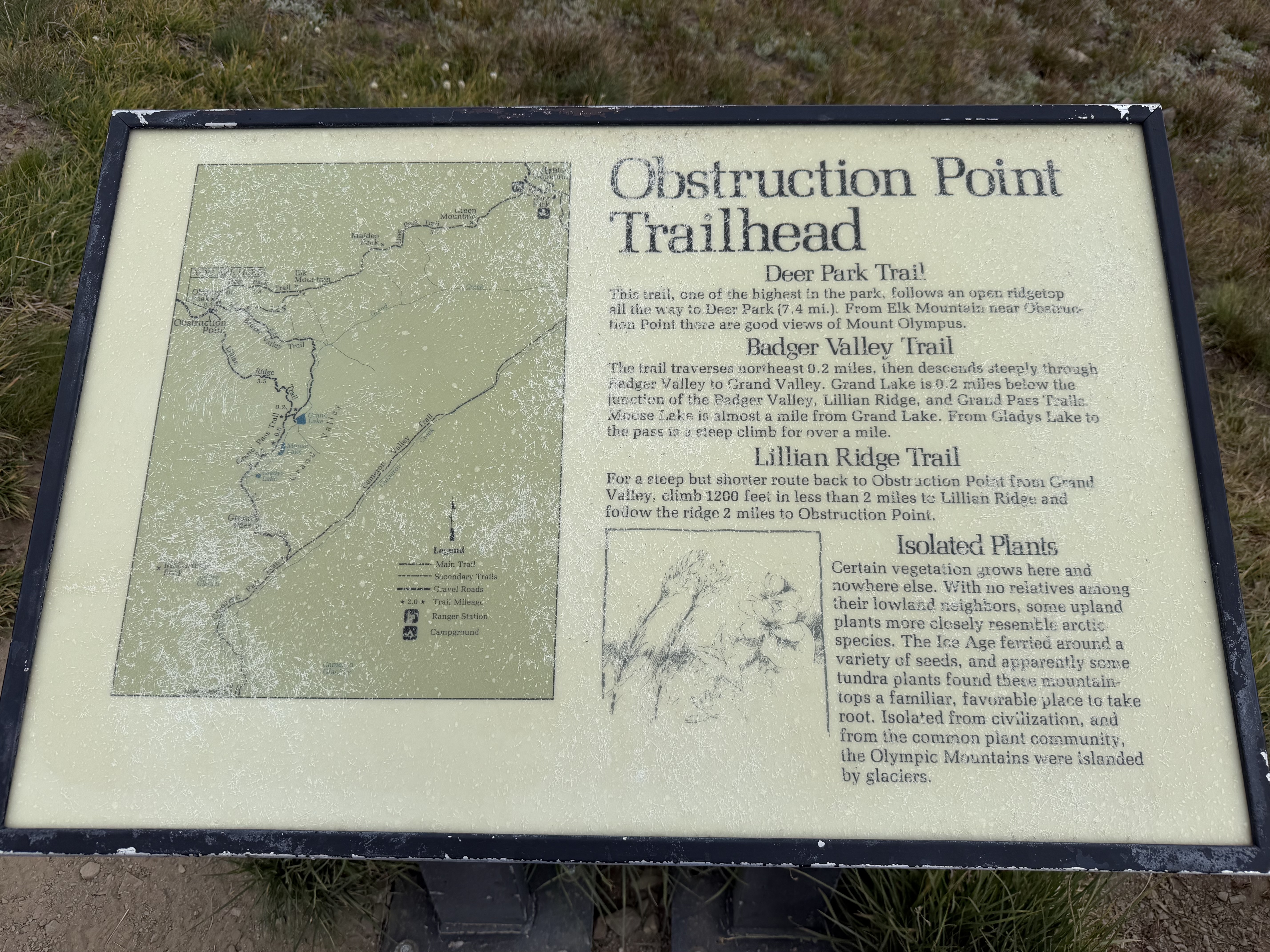 Obstruction Point was a trailhead for several long and short hikes. 