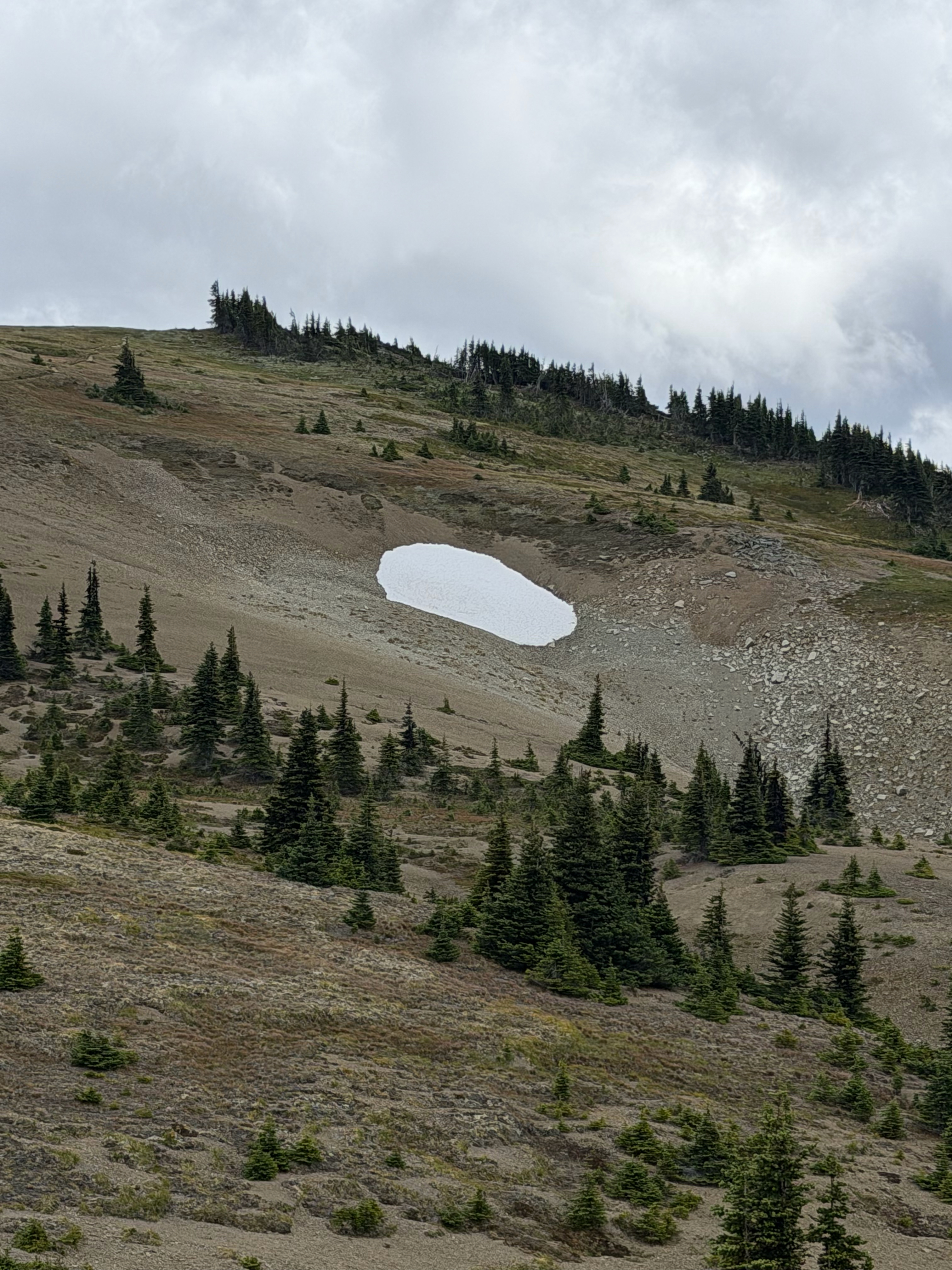 Even in mid-July - there was still some snow patches on the ground. 