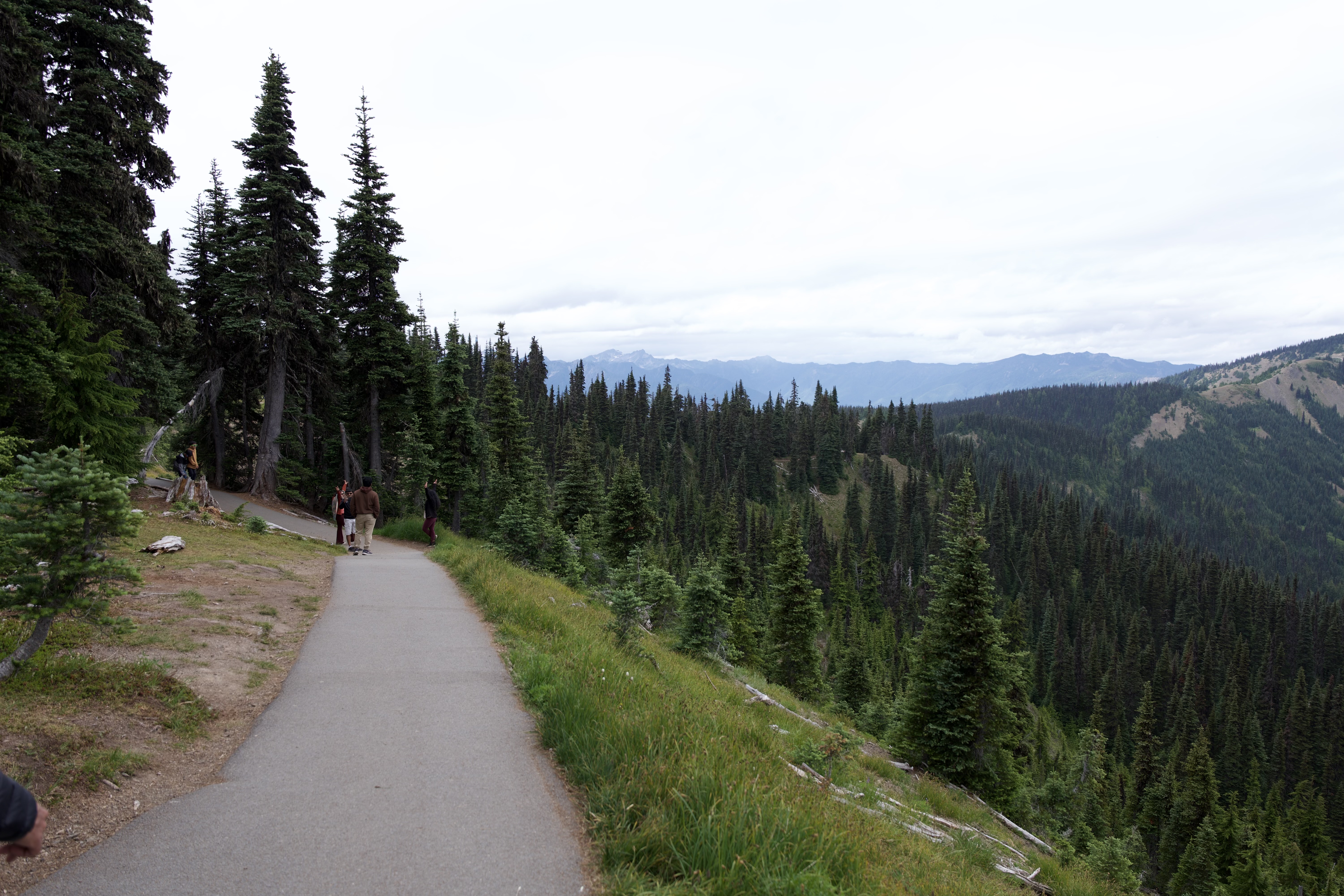 The Big Meadow Loop Trail is paved and accessible for everyone.