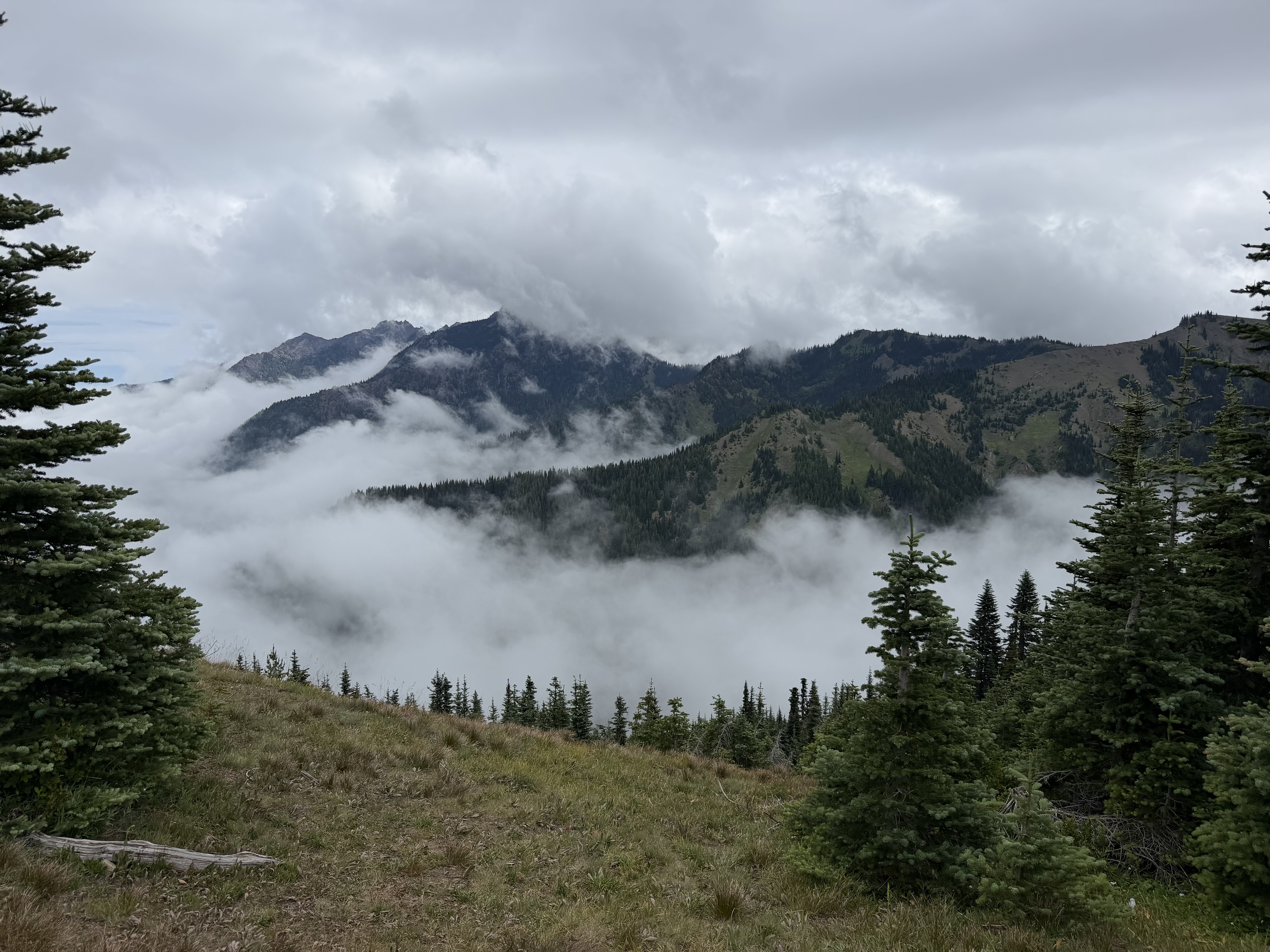 The views from Hurricane Ridge are always spectacular. If you don’t like what you are seeing - just wait a few minutes and it will change!