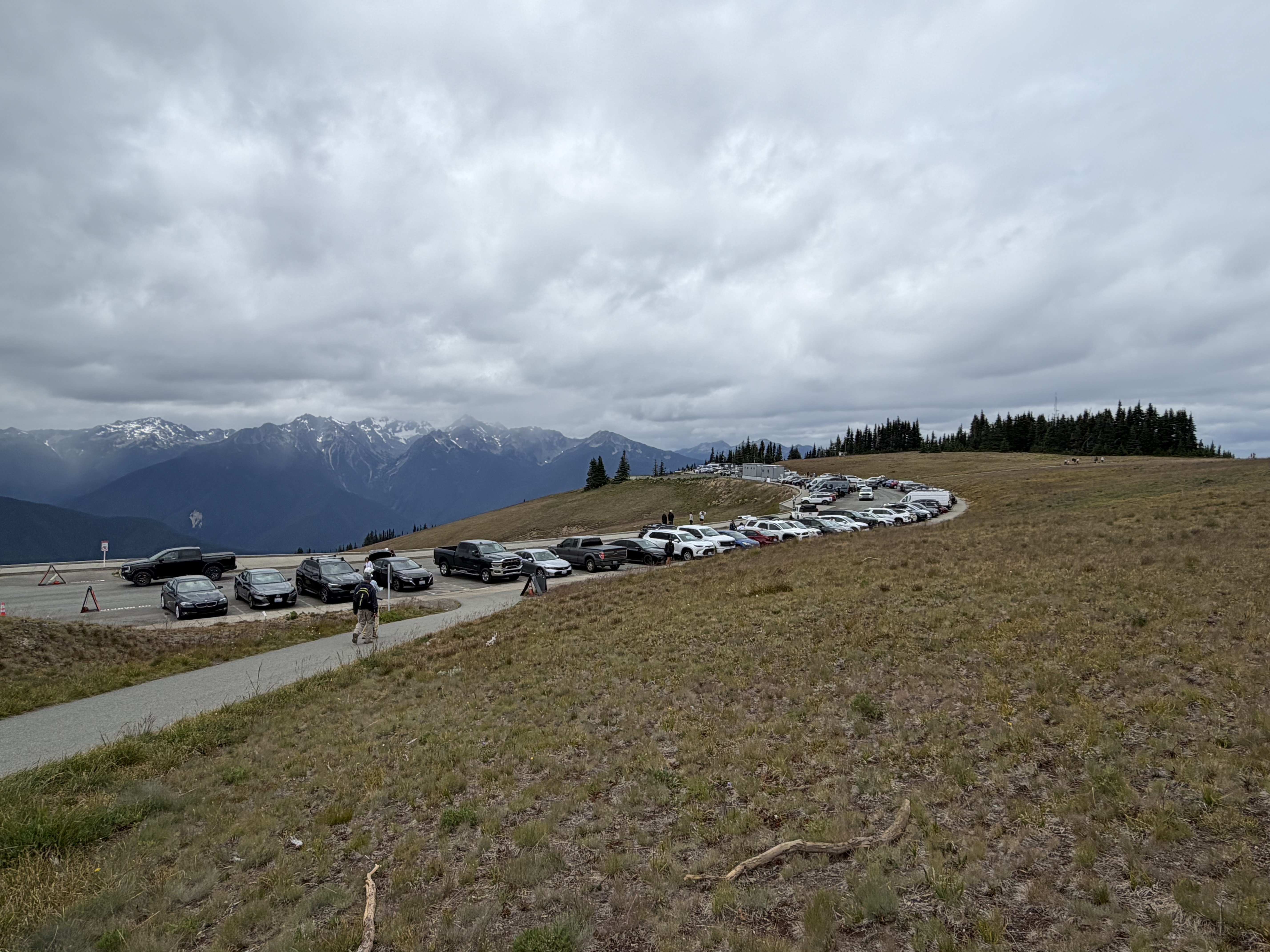 Expect to find a lot of people at the Hurricane Ridge Area - it is a popular place to visit at Olympic National Park