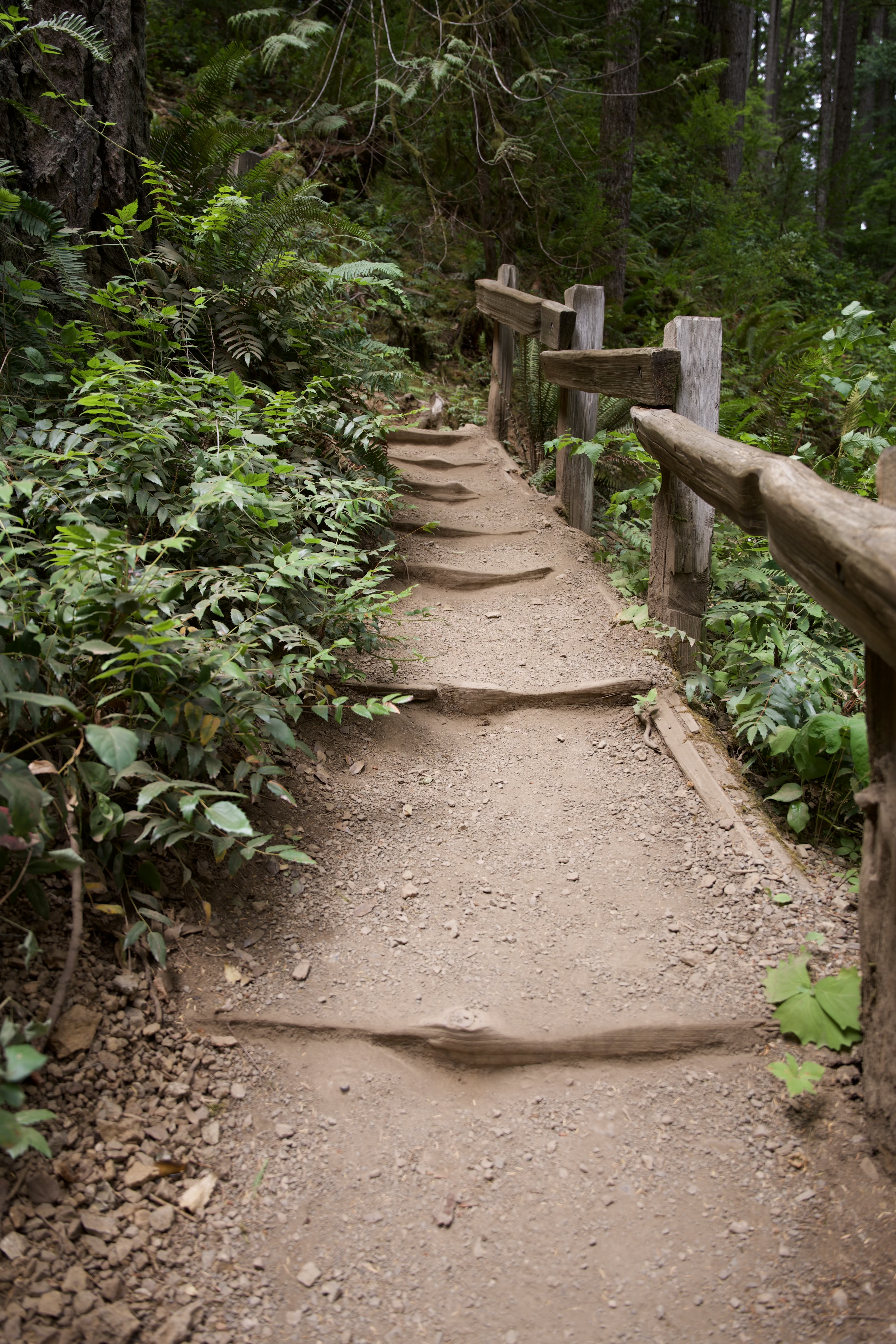 The “stairs” helped with the climb up and descent down