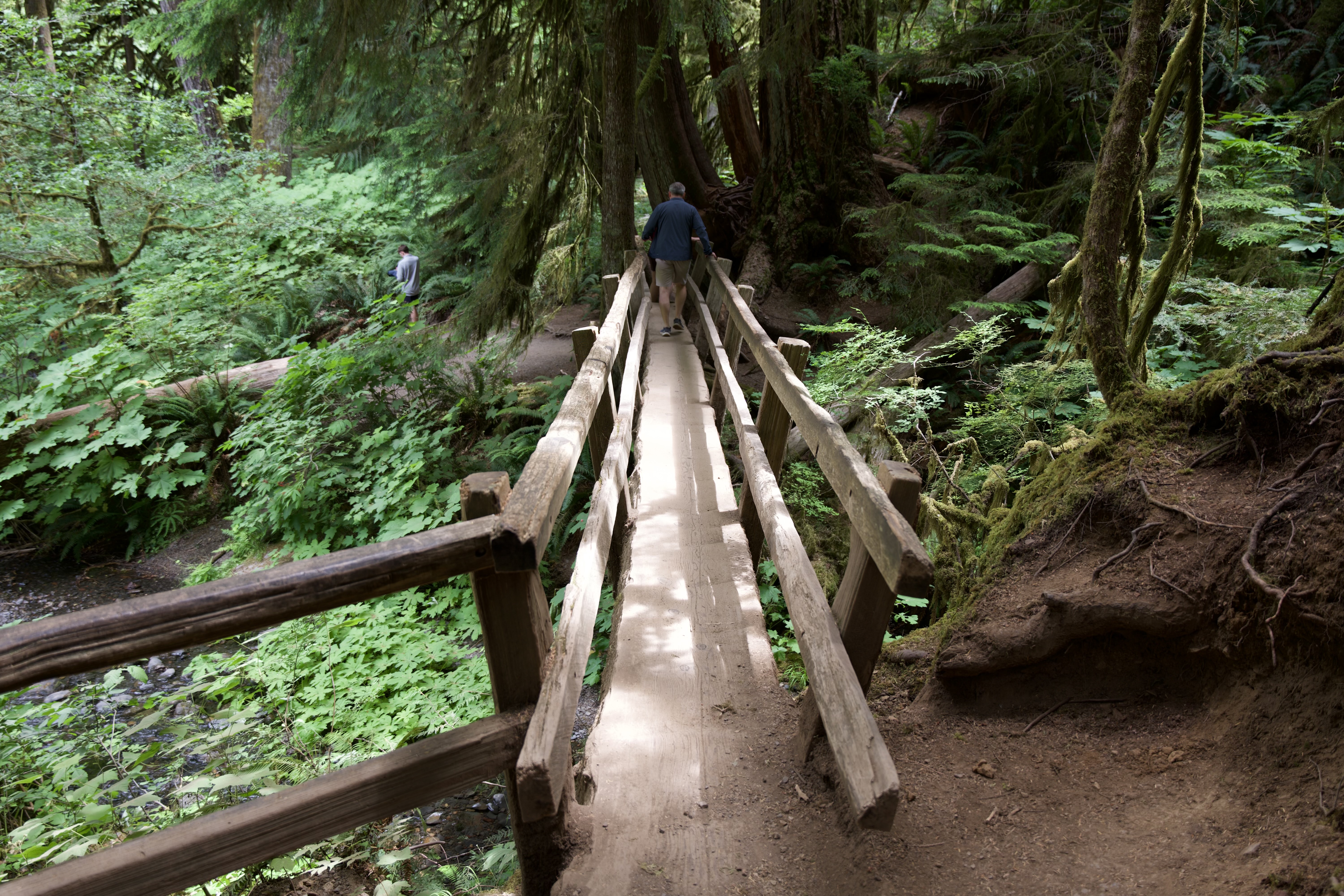 The “one person at a time” bridge was a fun part of the hike as well