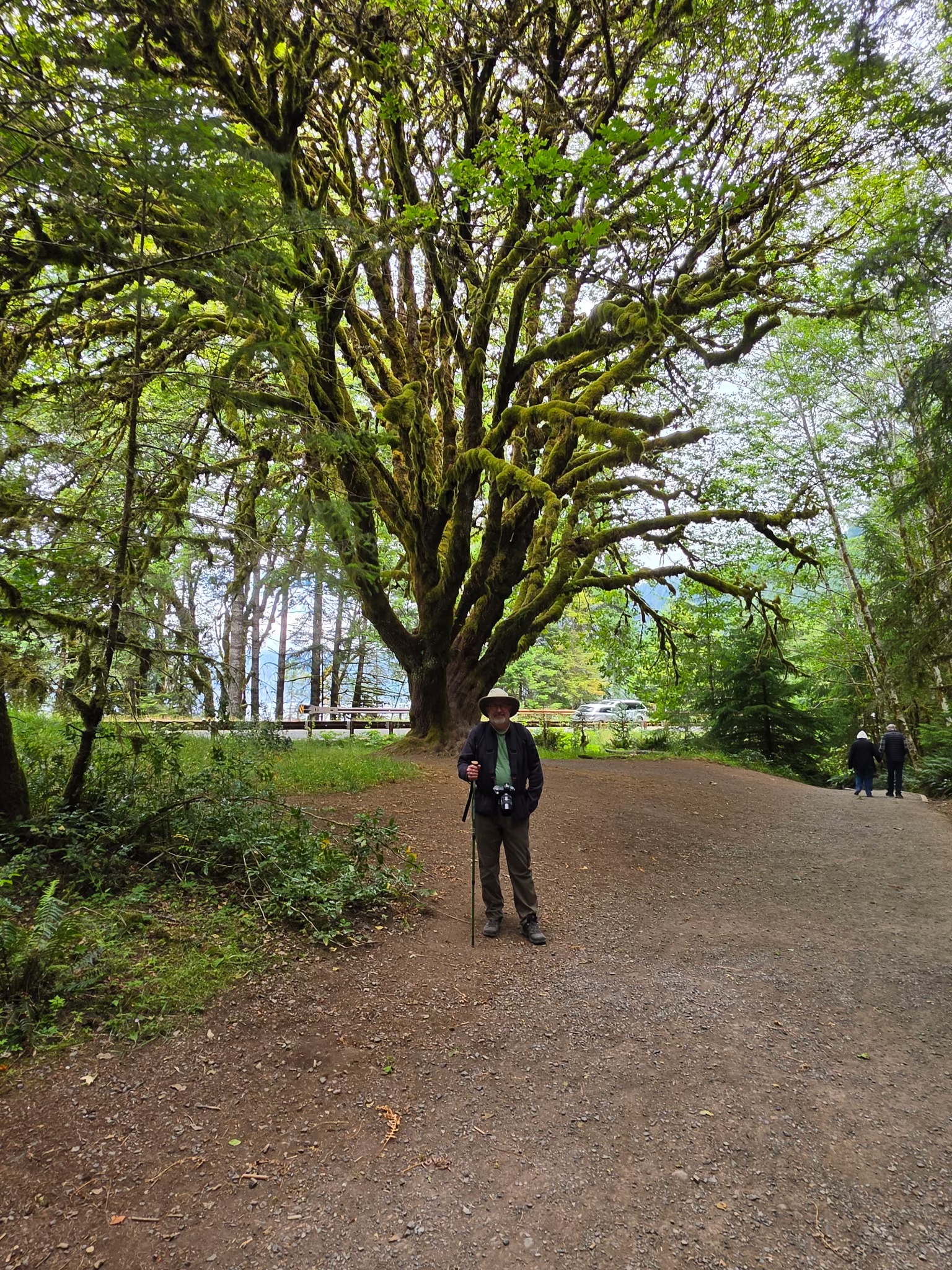 Yours truely in front of a very large tree