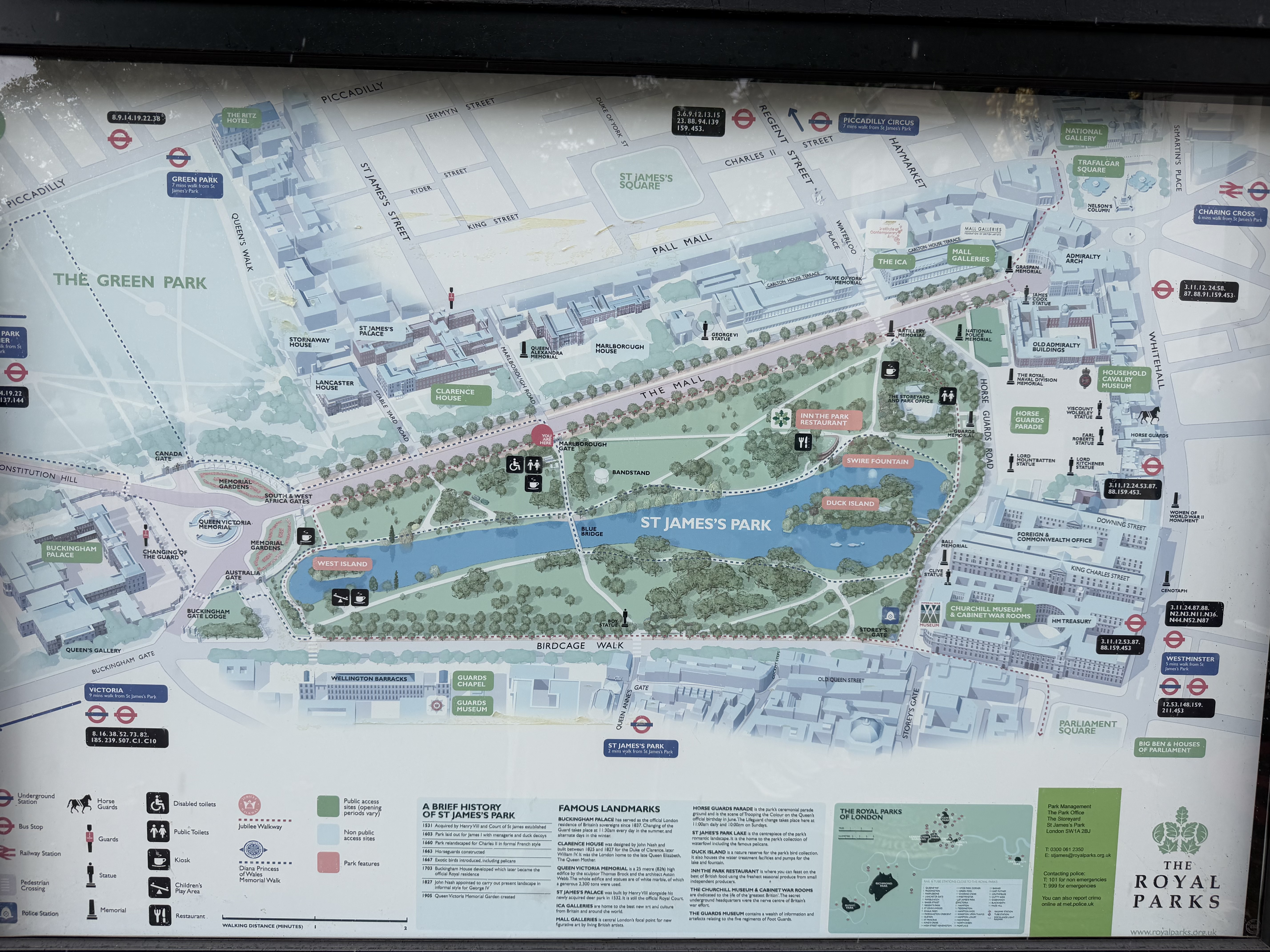 St. James Park was beautiful with tall stately trees and lots of birds.