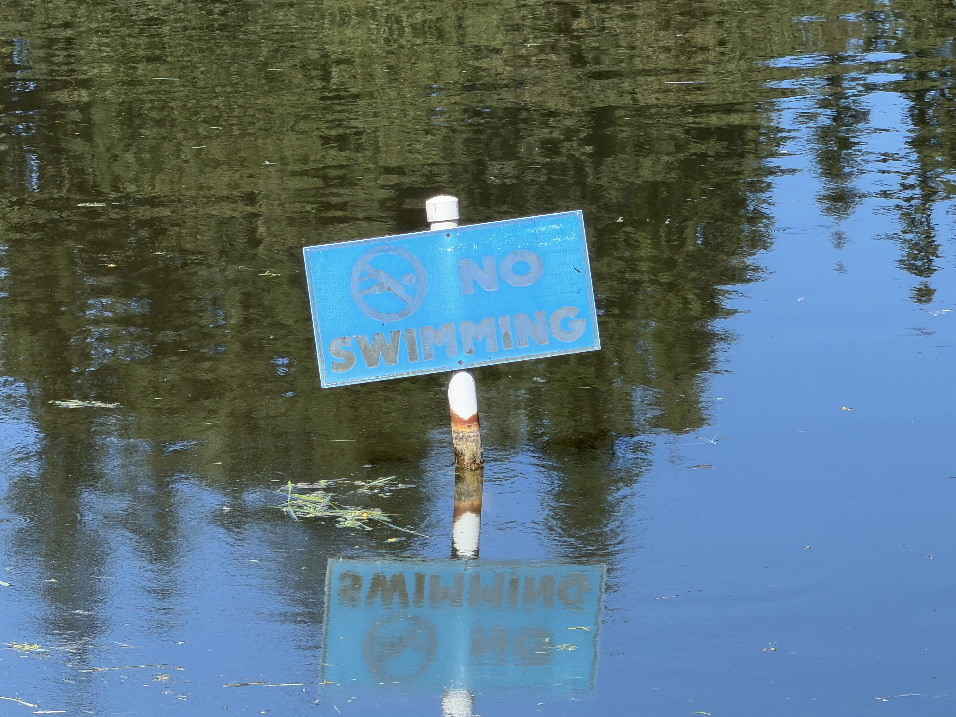 No swimming - the fact this was posted probably meant that someone tried swimming there at some point.
