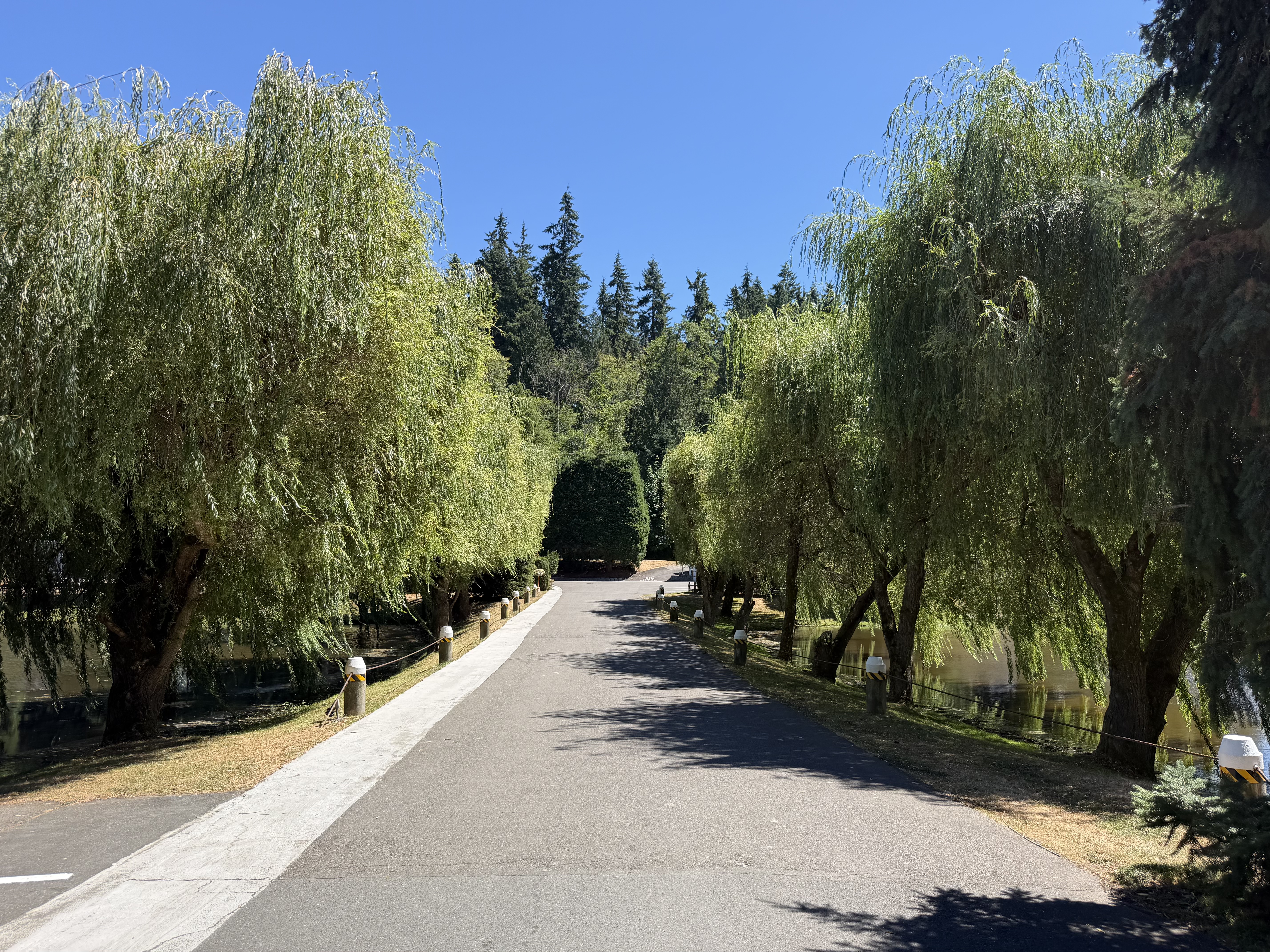 The tree lined streets gave a sense of being out in the woods - and did not feel at all like you were in the middle of the city. 