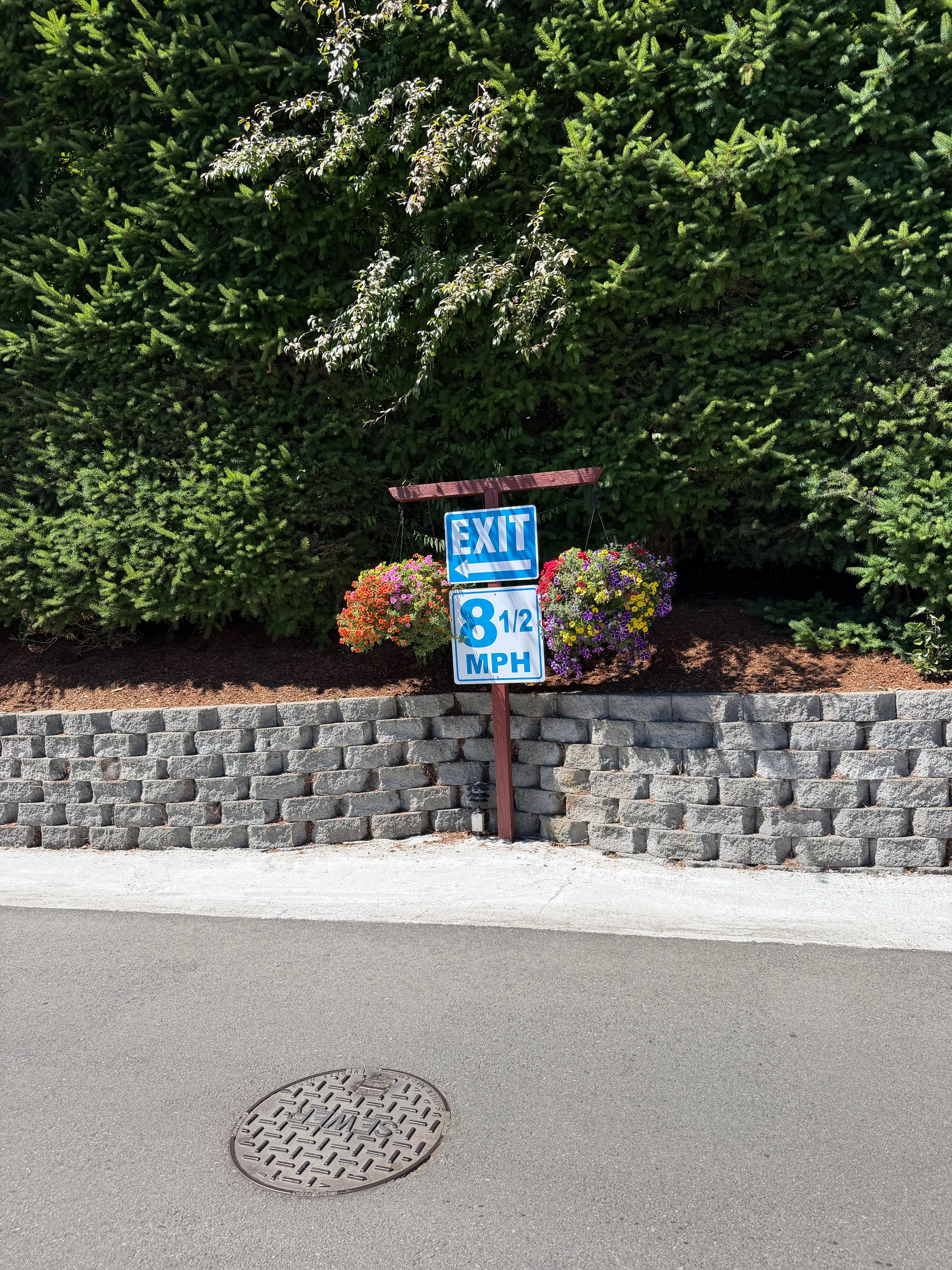 The signs and poles all had flower pots giving some color to the park. 