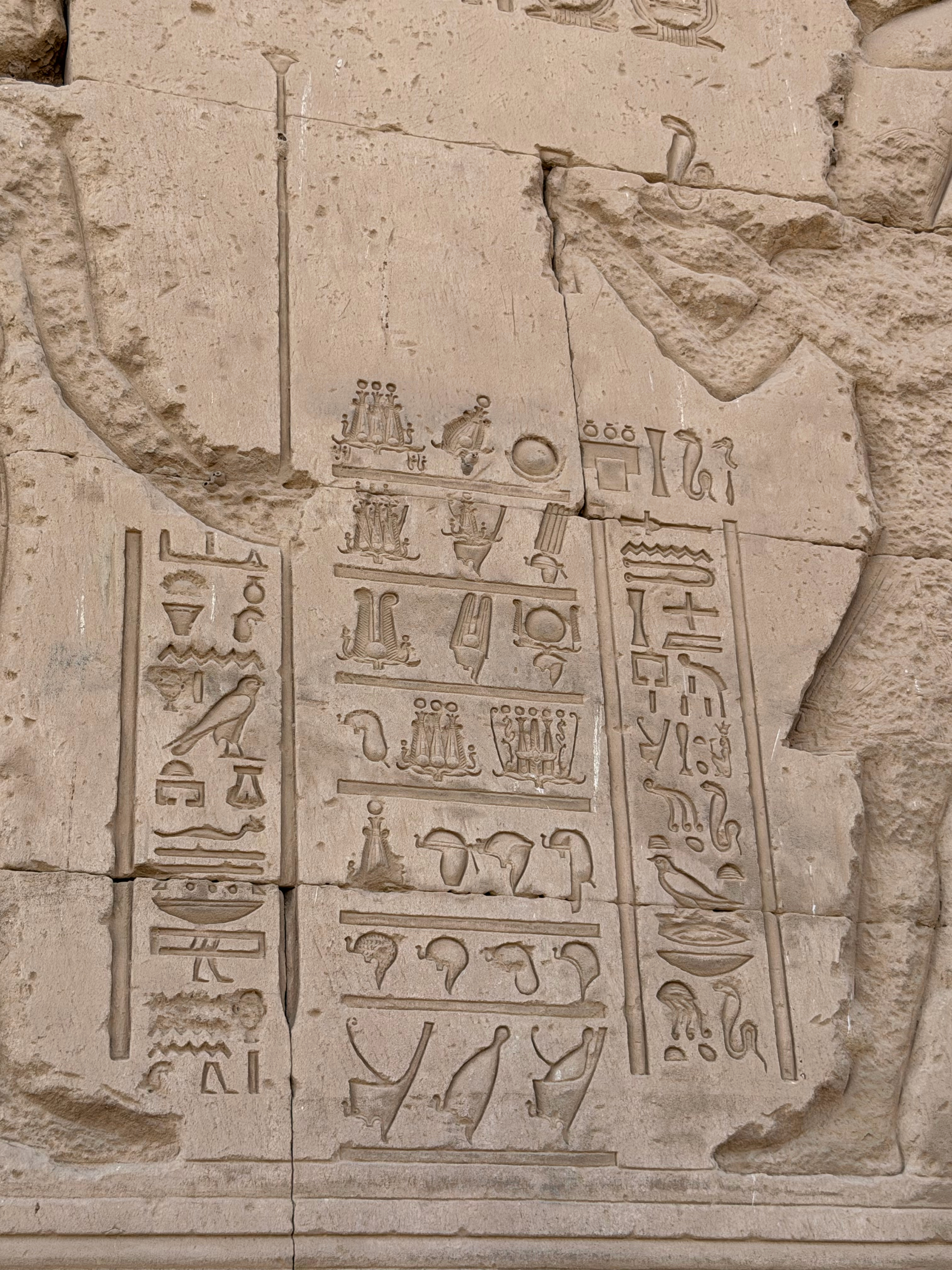 Each of these hieroglyphs showcase different crowns or hats the Pharaoh would wear for different occasions - the middle panel has 23 different crowns illustrated.
