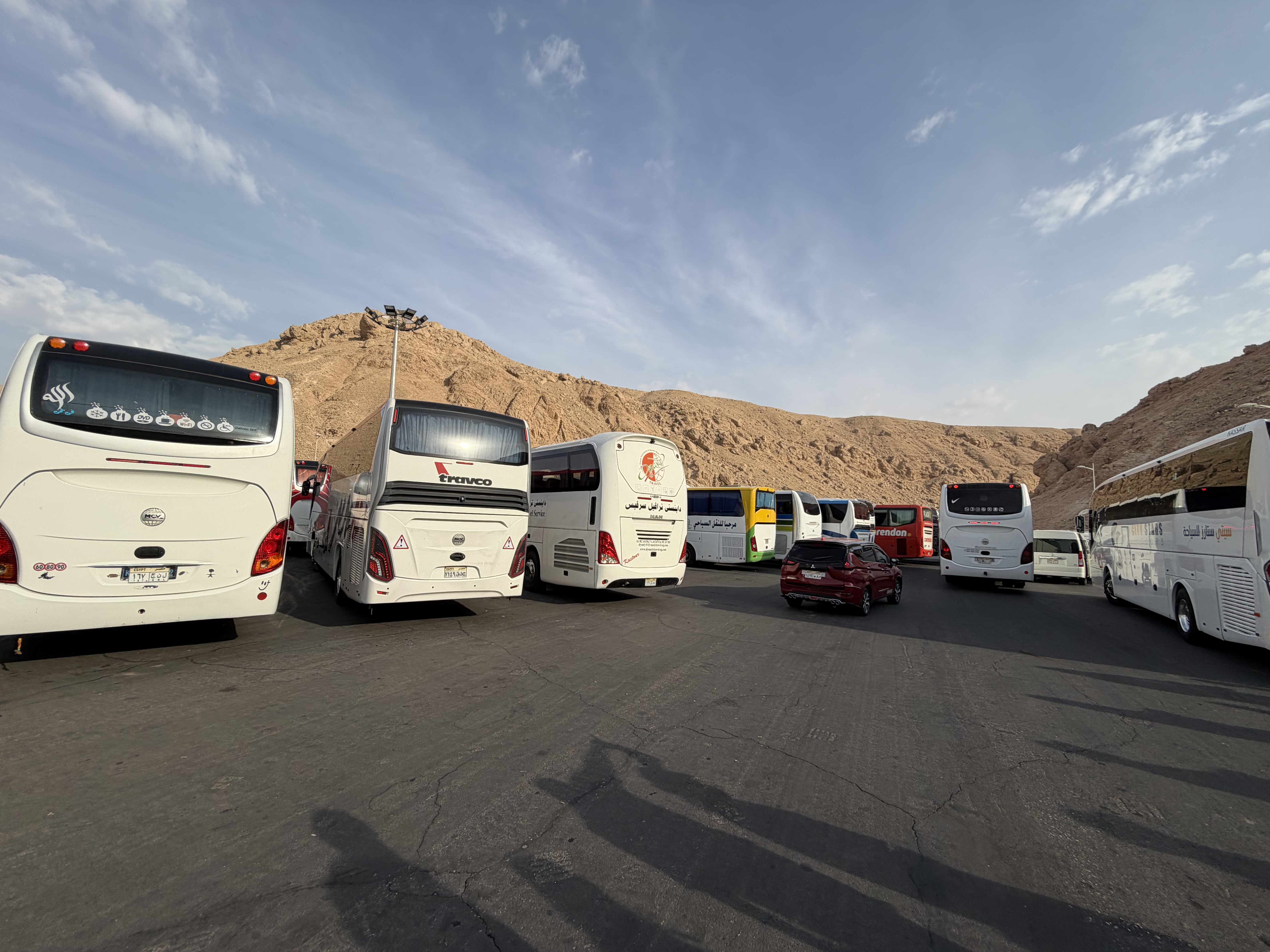 Buses, buses everywhere!