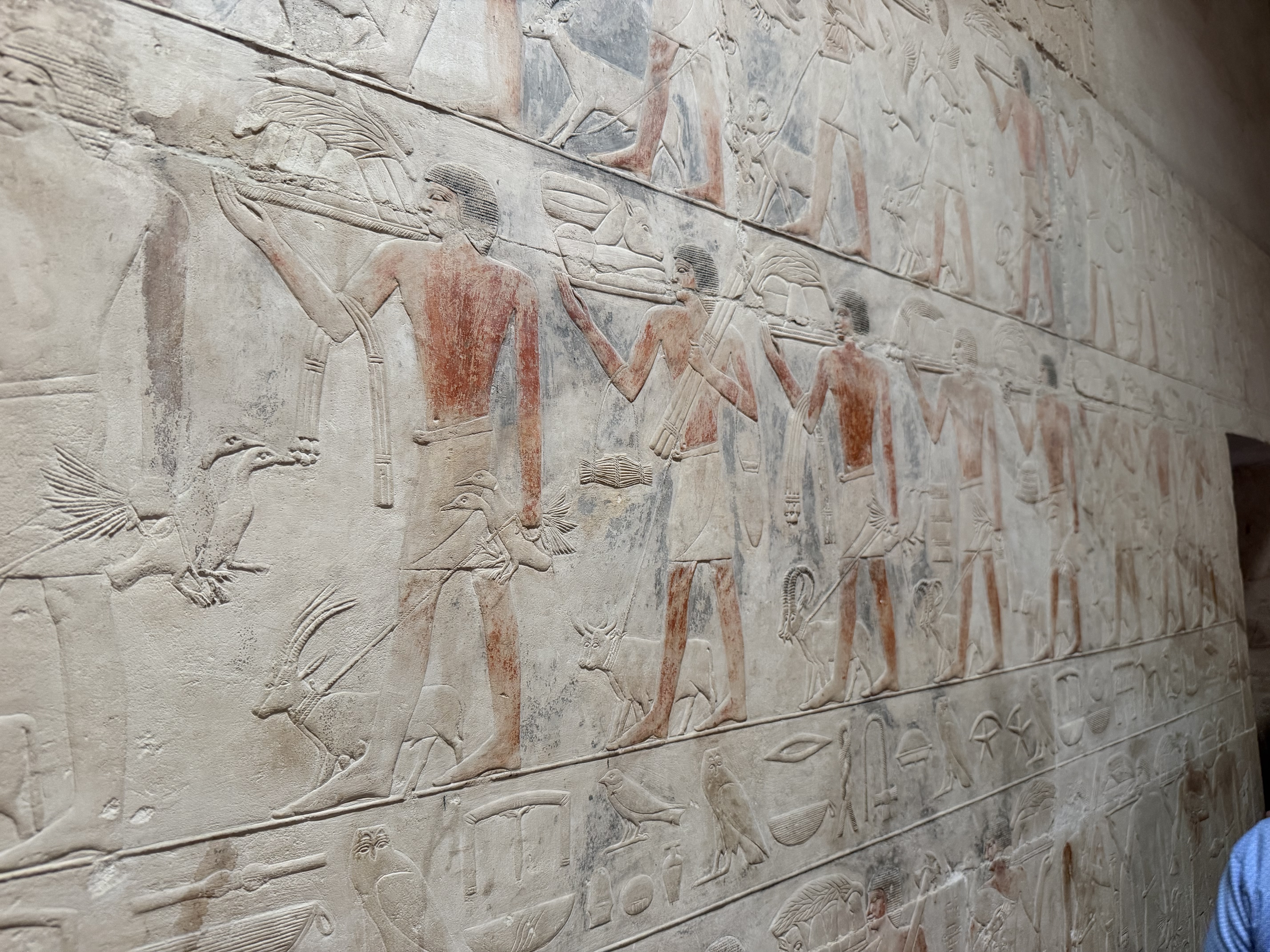 The pictorials all told stories about everyday life in Egypt - including care for animals and stories about the Nile River. 